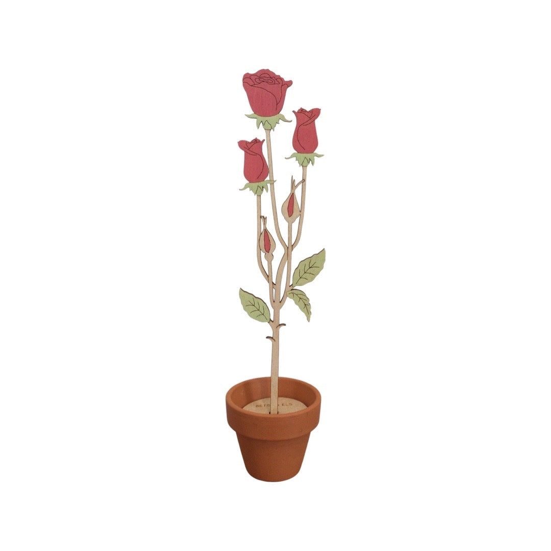 A single rose wooden stem in a terracotta pot.