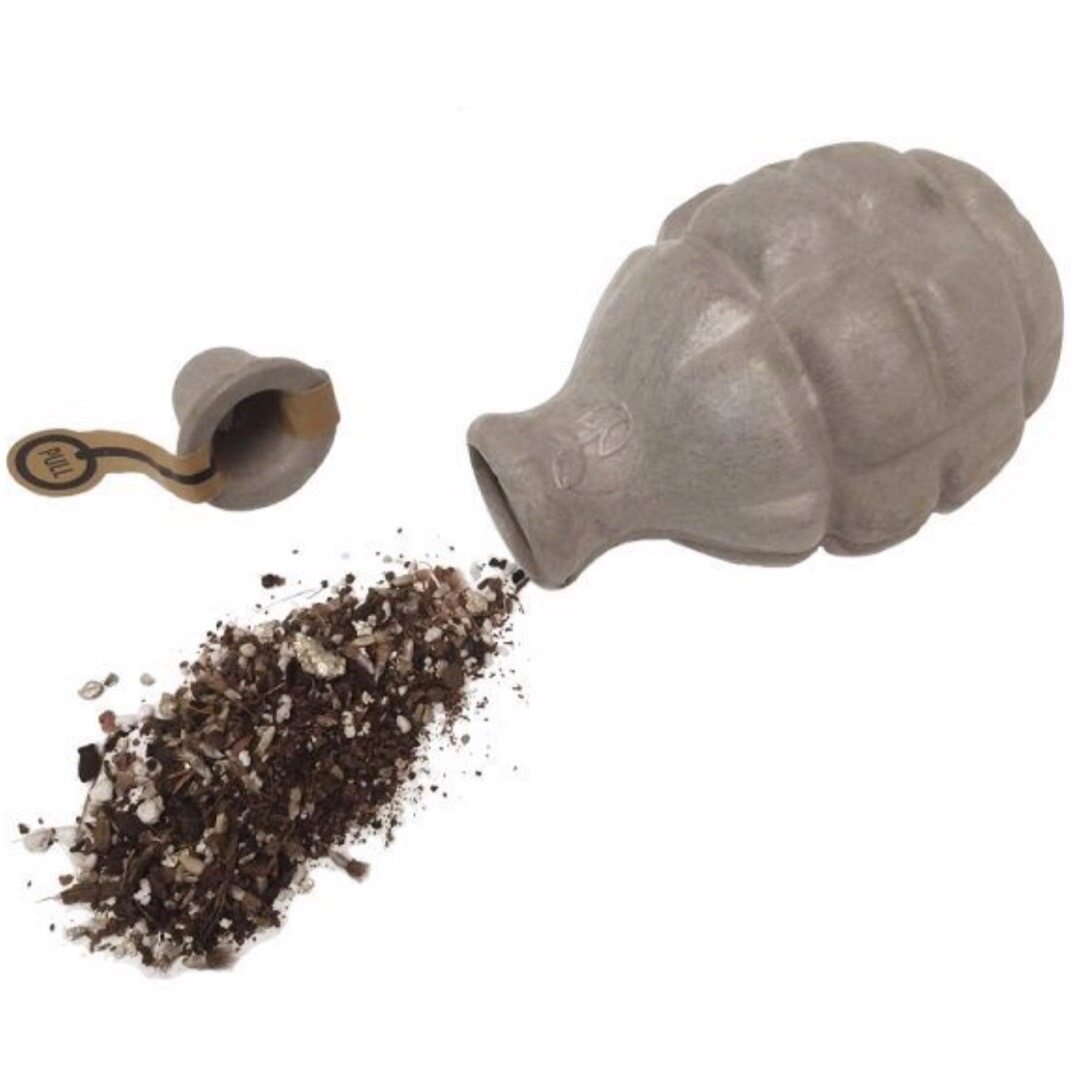 Beebom