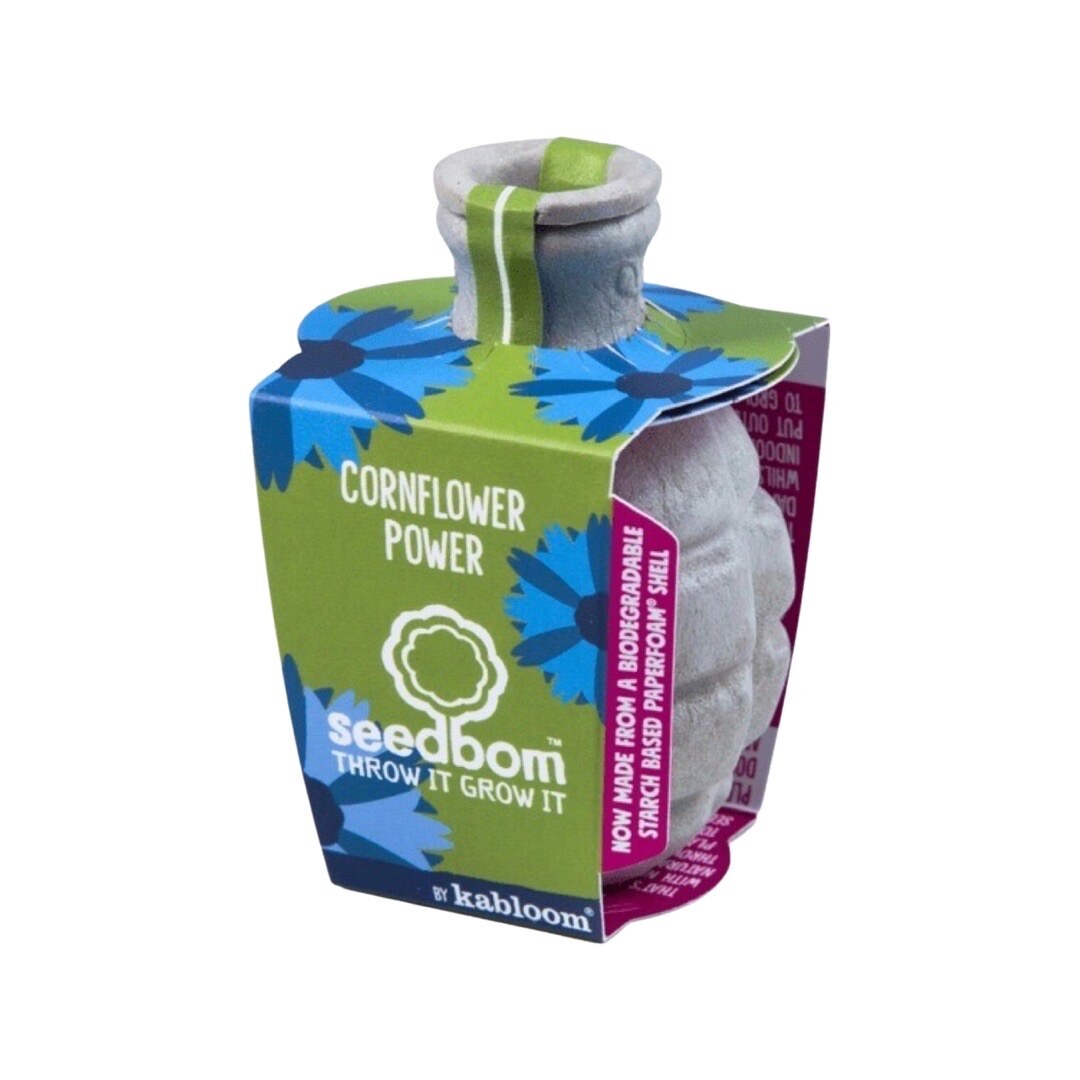 Cornflower Seedbom