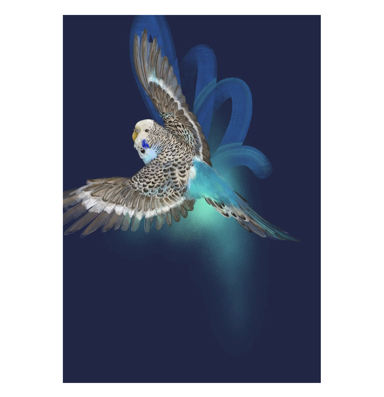 Budgerigar in Flight Print