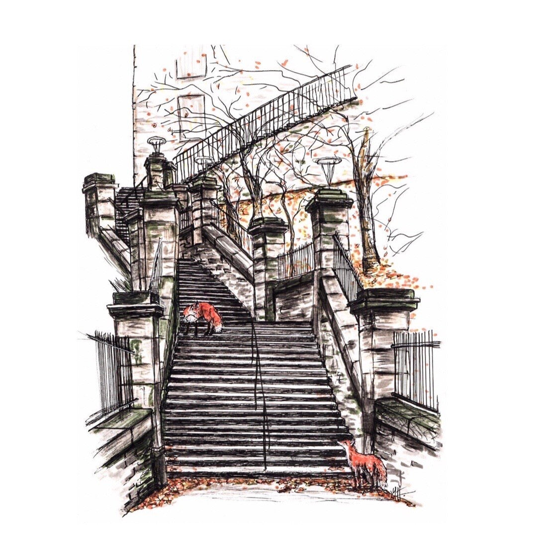Fox at News Steps, Edinburgh Print