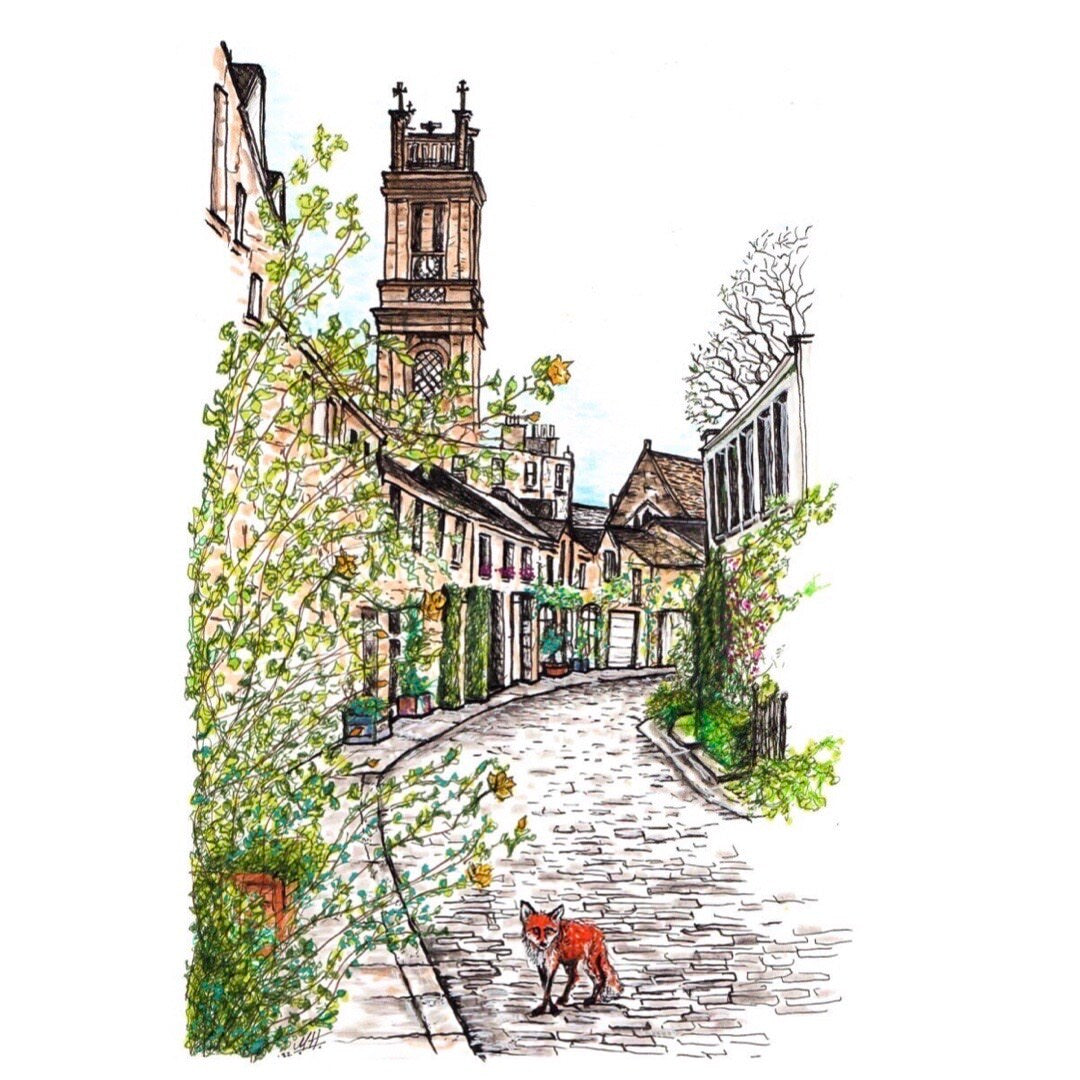Fox at Circus Lane, Edinburgh Print