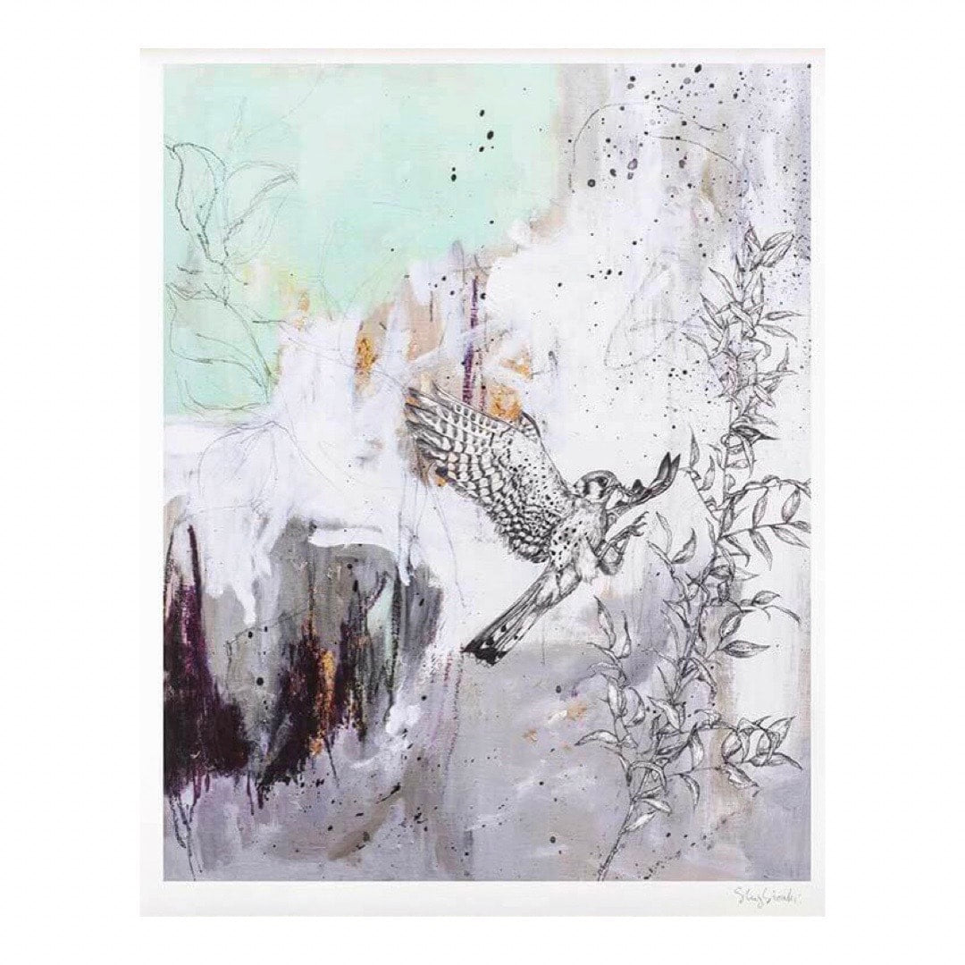 American Kestrel Print