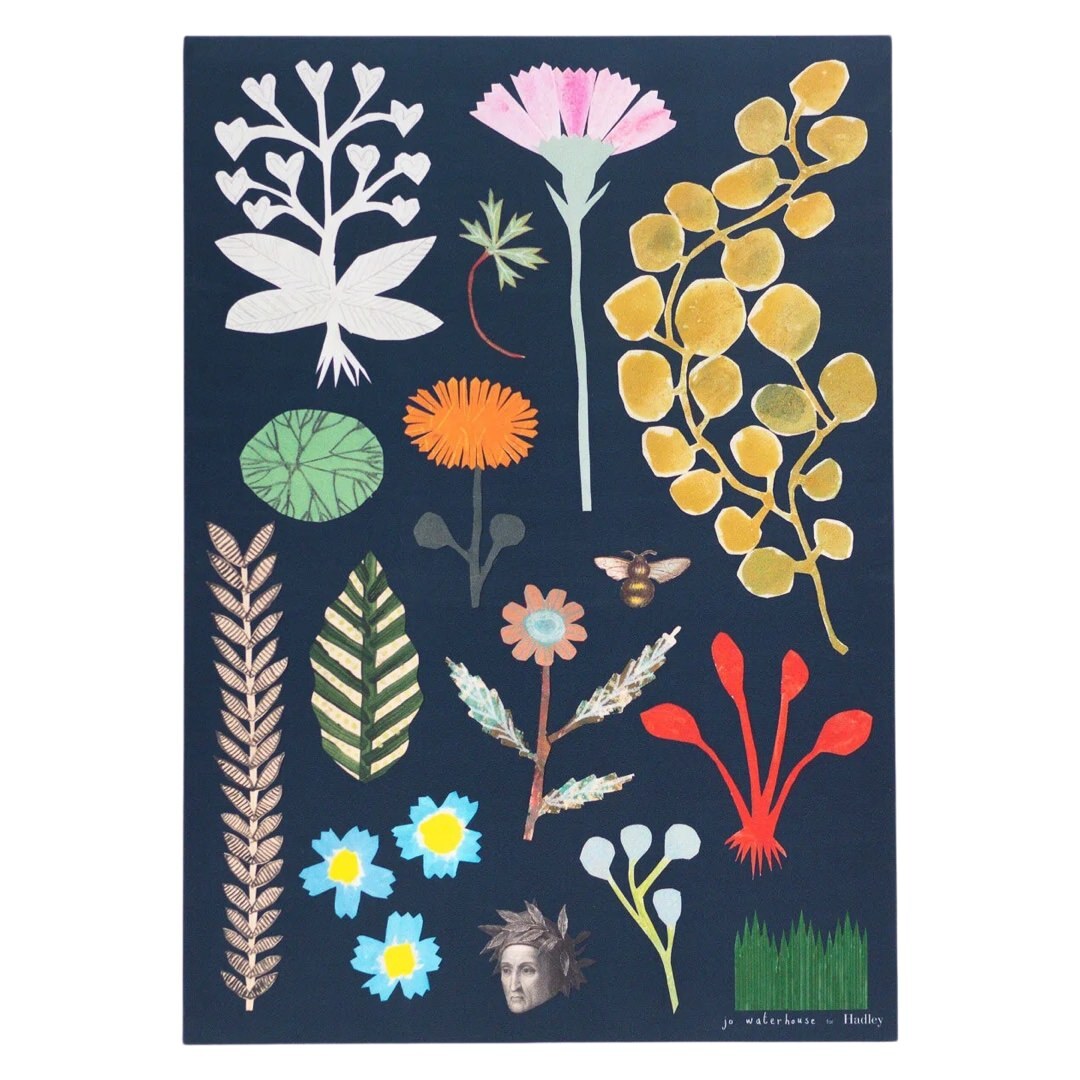 Botanical Print