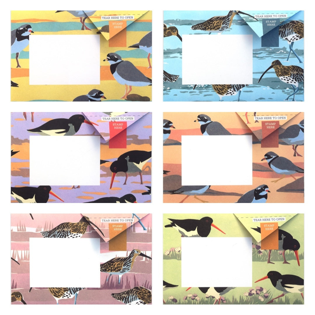 Hebridean Pigeon Pack