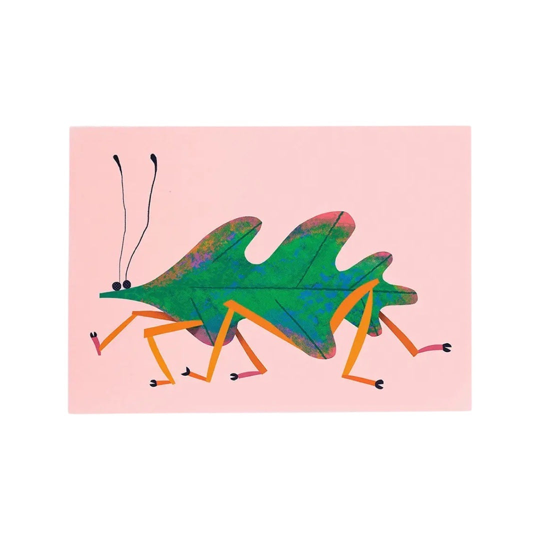 Leaf Insect Postcard