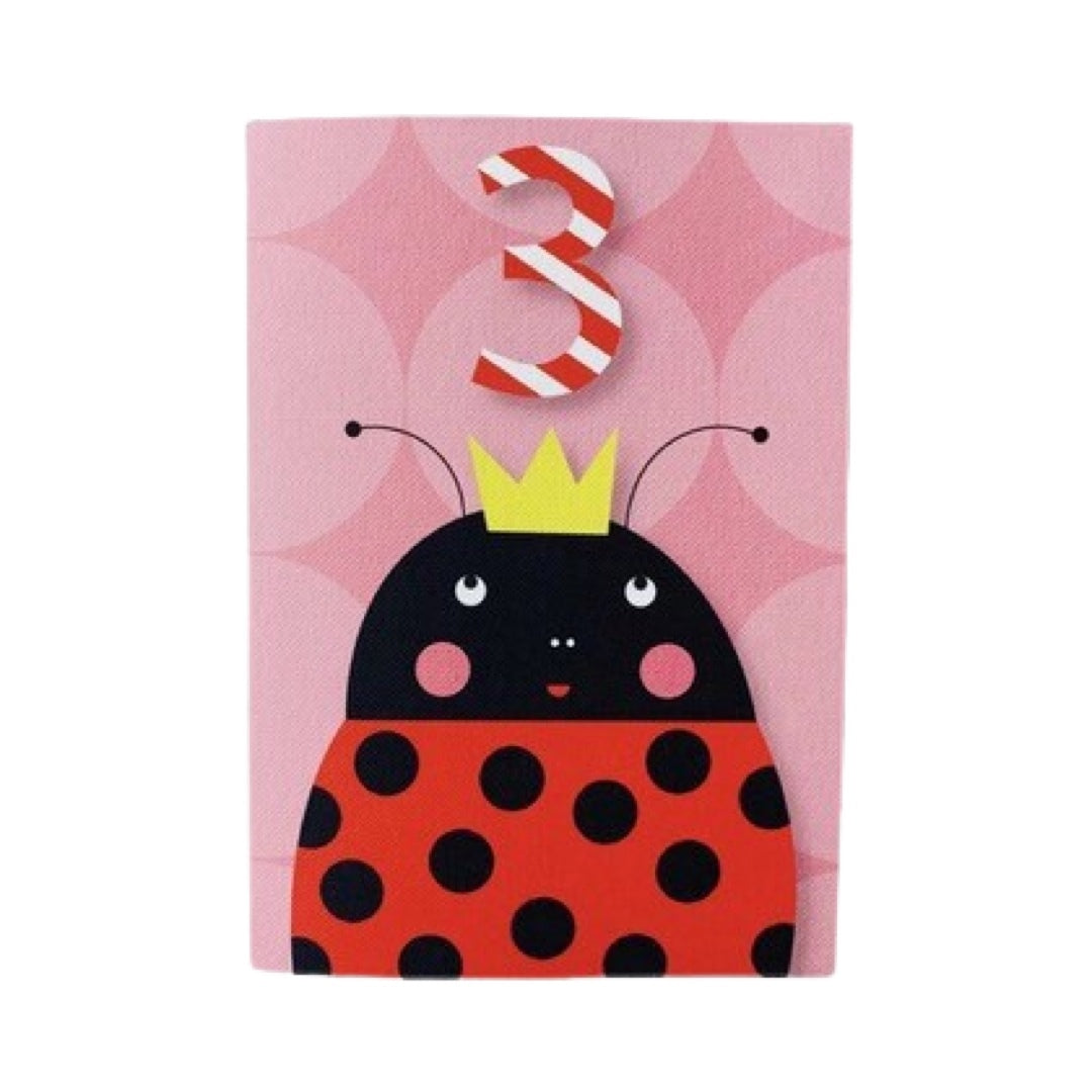 3rd Birthday Card Ladybird