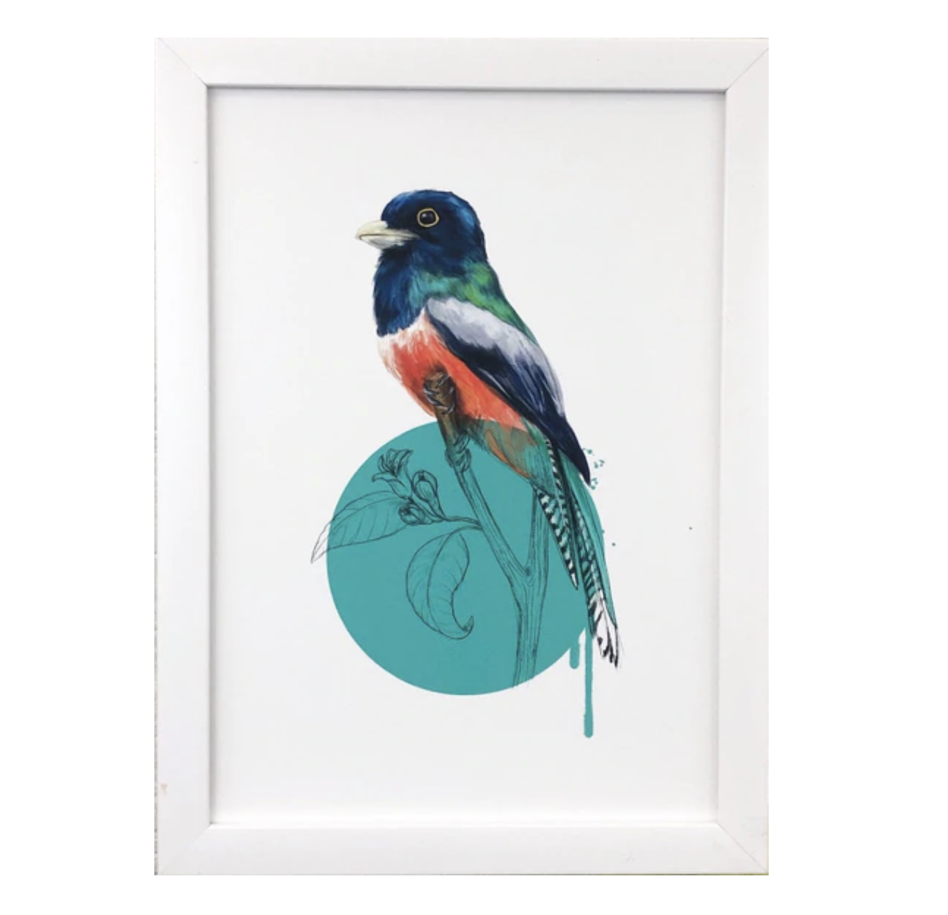 Blue Crowned Trogon Bird Print