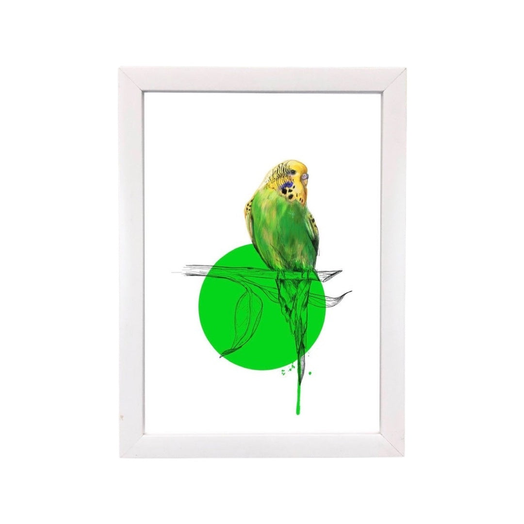 Budgie on a Branch Print