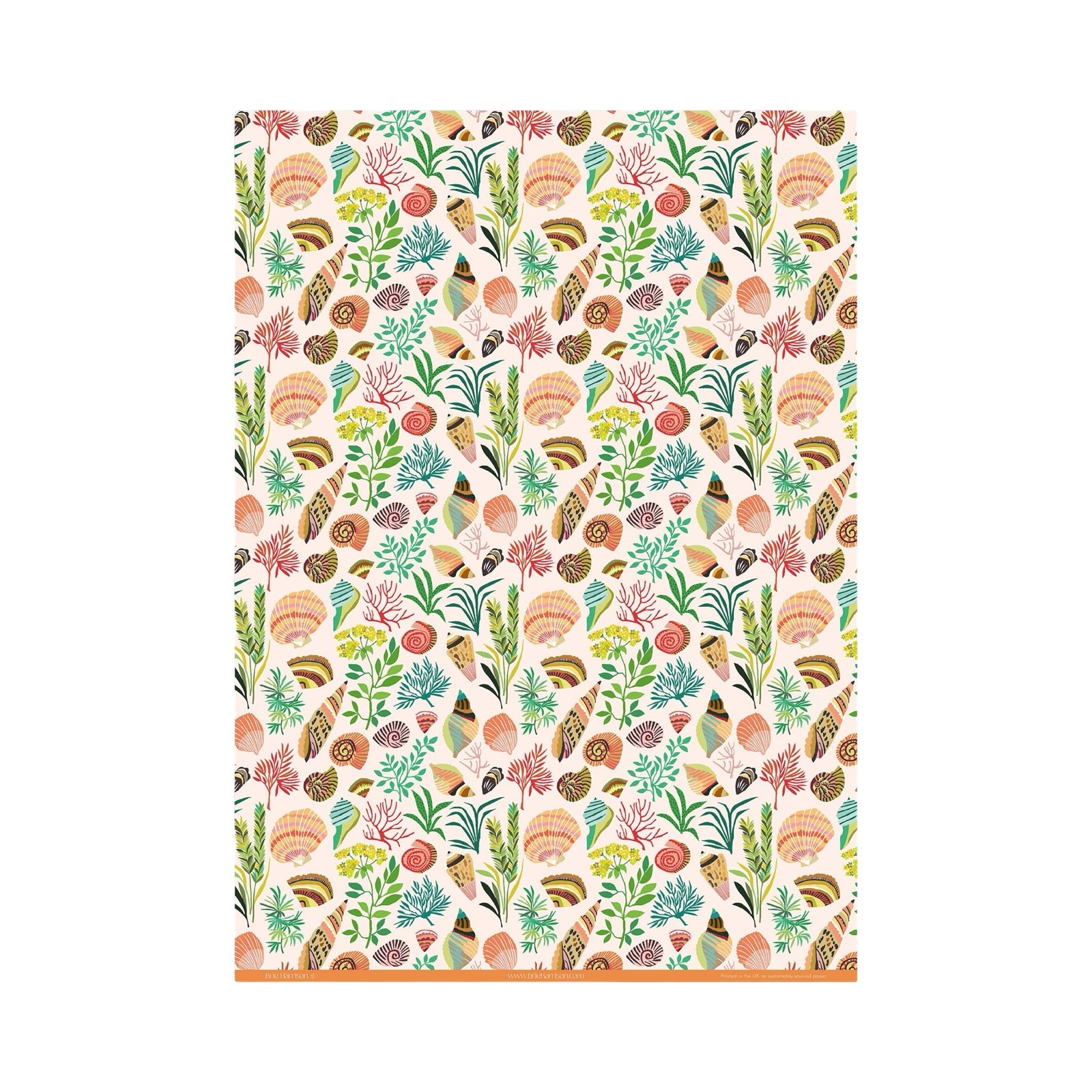 A single sheet of wrapping paper featuring an illustration of colourful shells and sea plants against a cream background