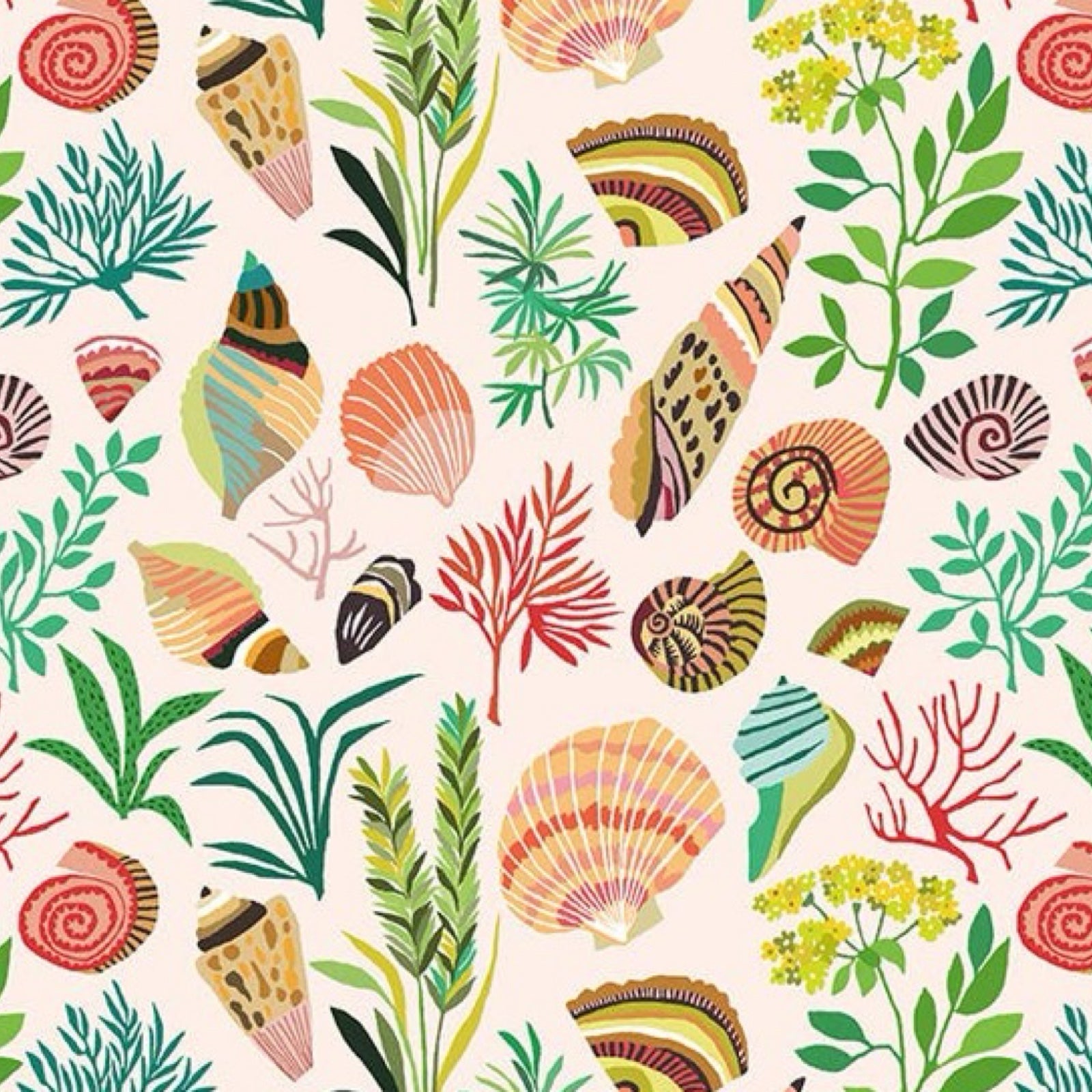 A single sheet of wrapping paper featuring an illustration of colourful shells and sea plants against a cream background