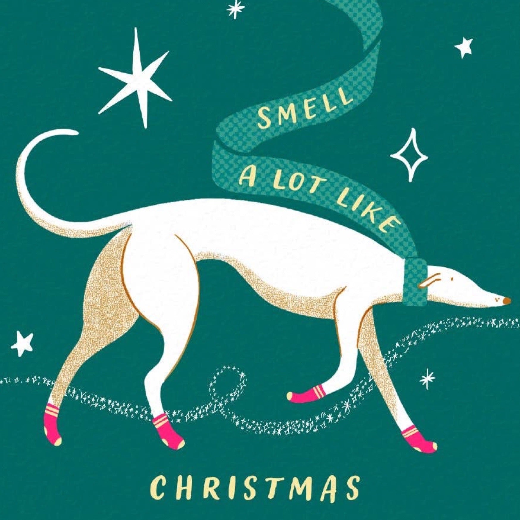 A festive illustrated card with a dog wearing a teal patterned scarf that reads 'SMELL A LOT LIKE' and pink-and-white striped socks, set on a dark teal background with white stars and the word 'CHRISTMAS' at the bottom.