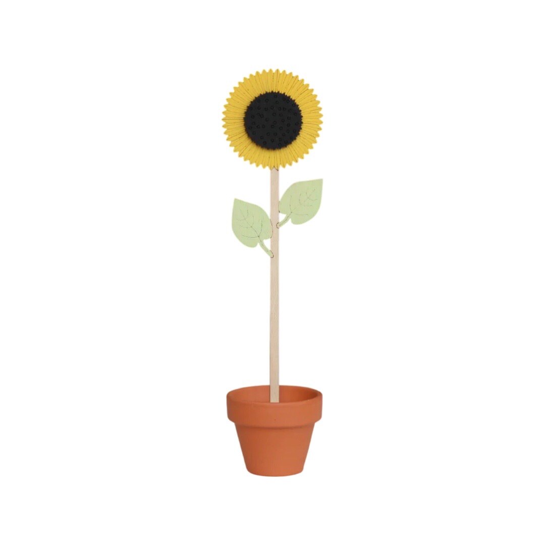A single sunflower wooden stem in a terracotta pot.
