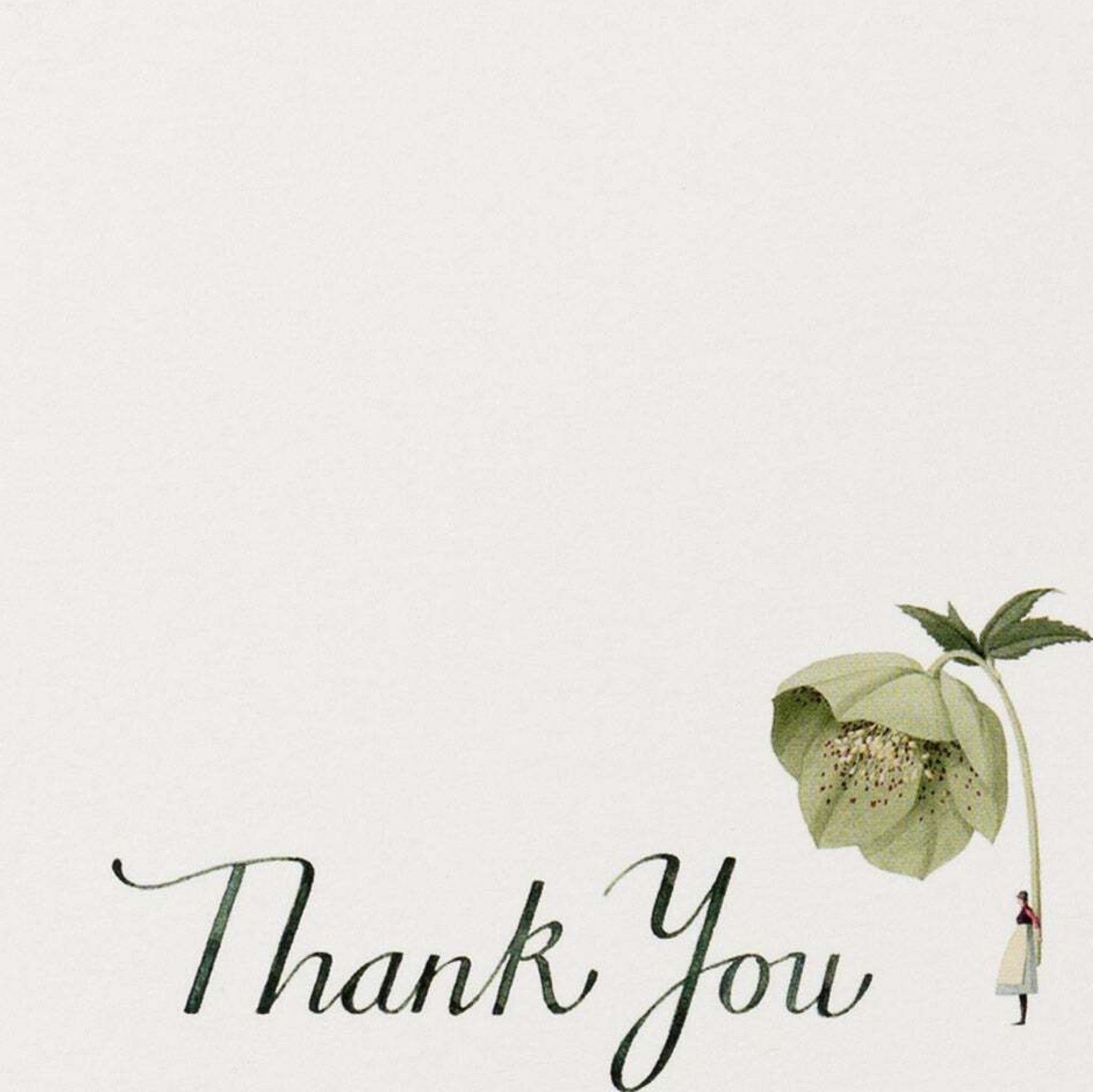 Pack of 12 flat notes featuring an illustration of a lady holding a giant hellebore flower and the text 'thank you'.