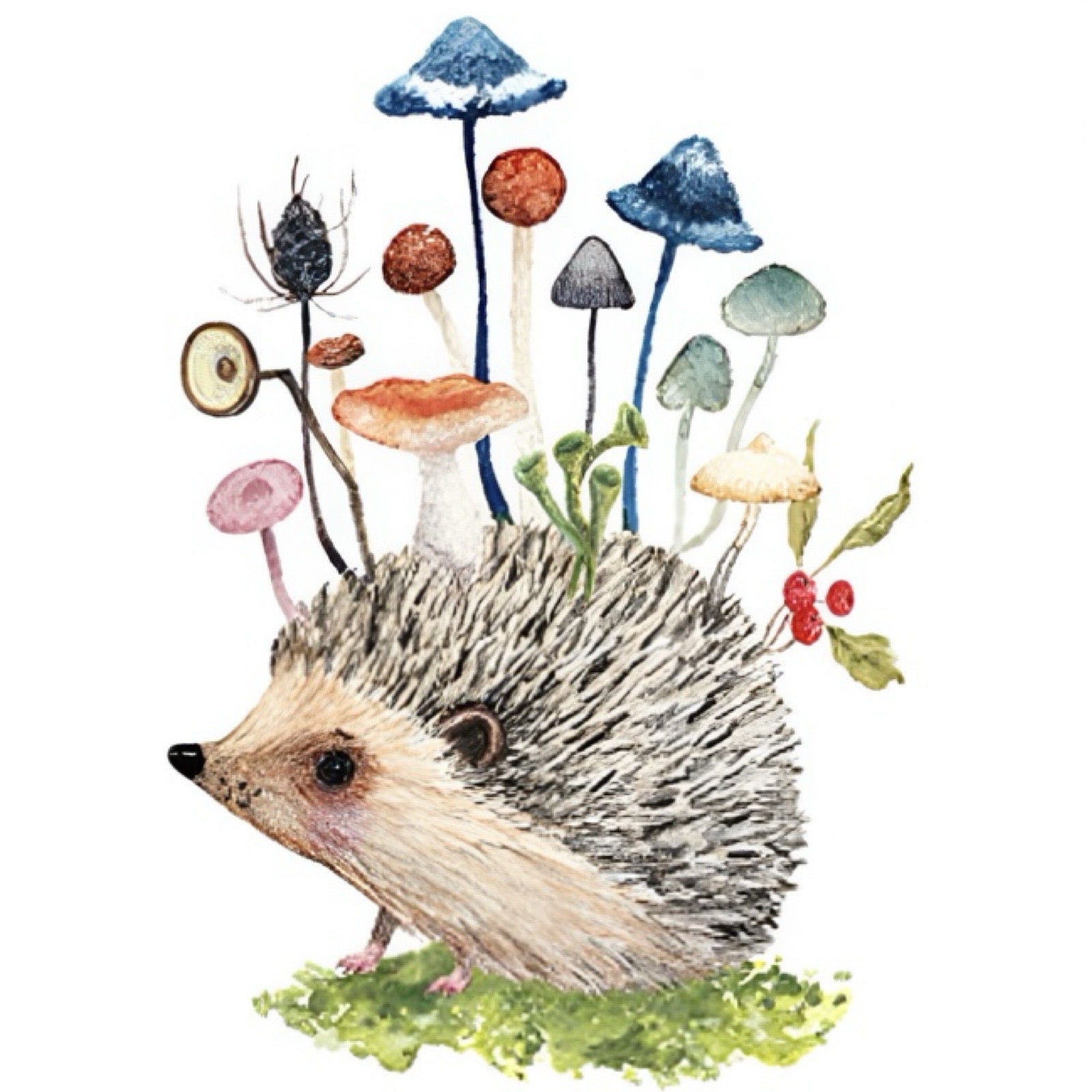 A print featuring a hedgehog sitting on a patch of grass surrounded by toadstools and mushrooms, against a white background.