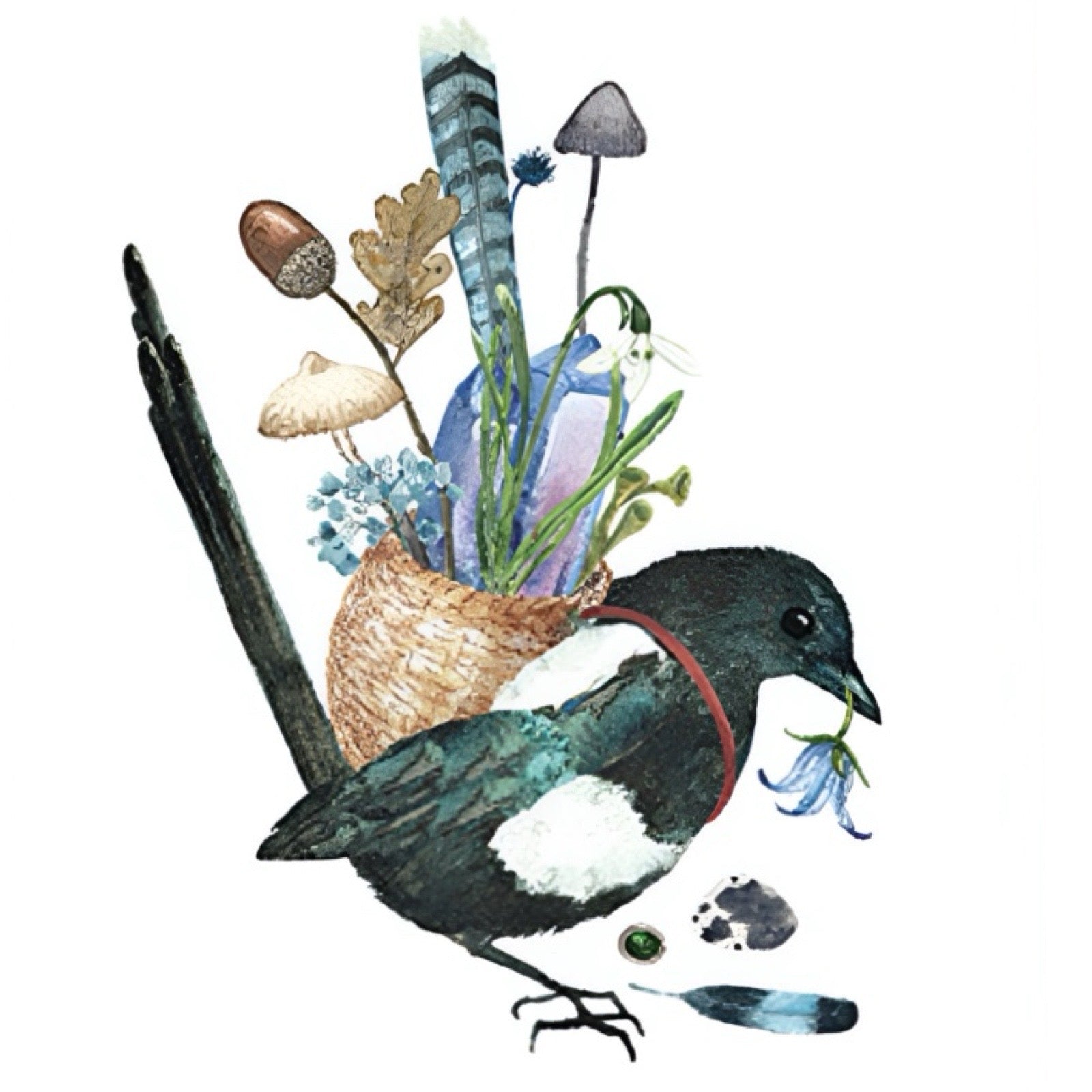 Print featuring a magpie out foraging, collecting a basket of flowers, feathers and leaves against a white background.