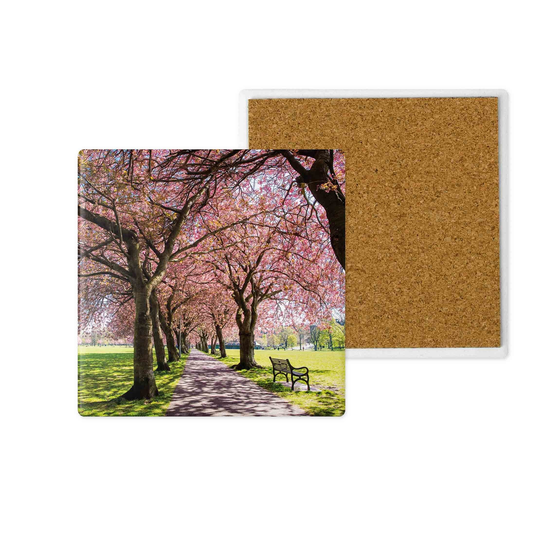 A tree lined path with pink blossom on a ceramic coaster.