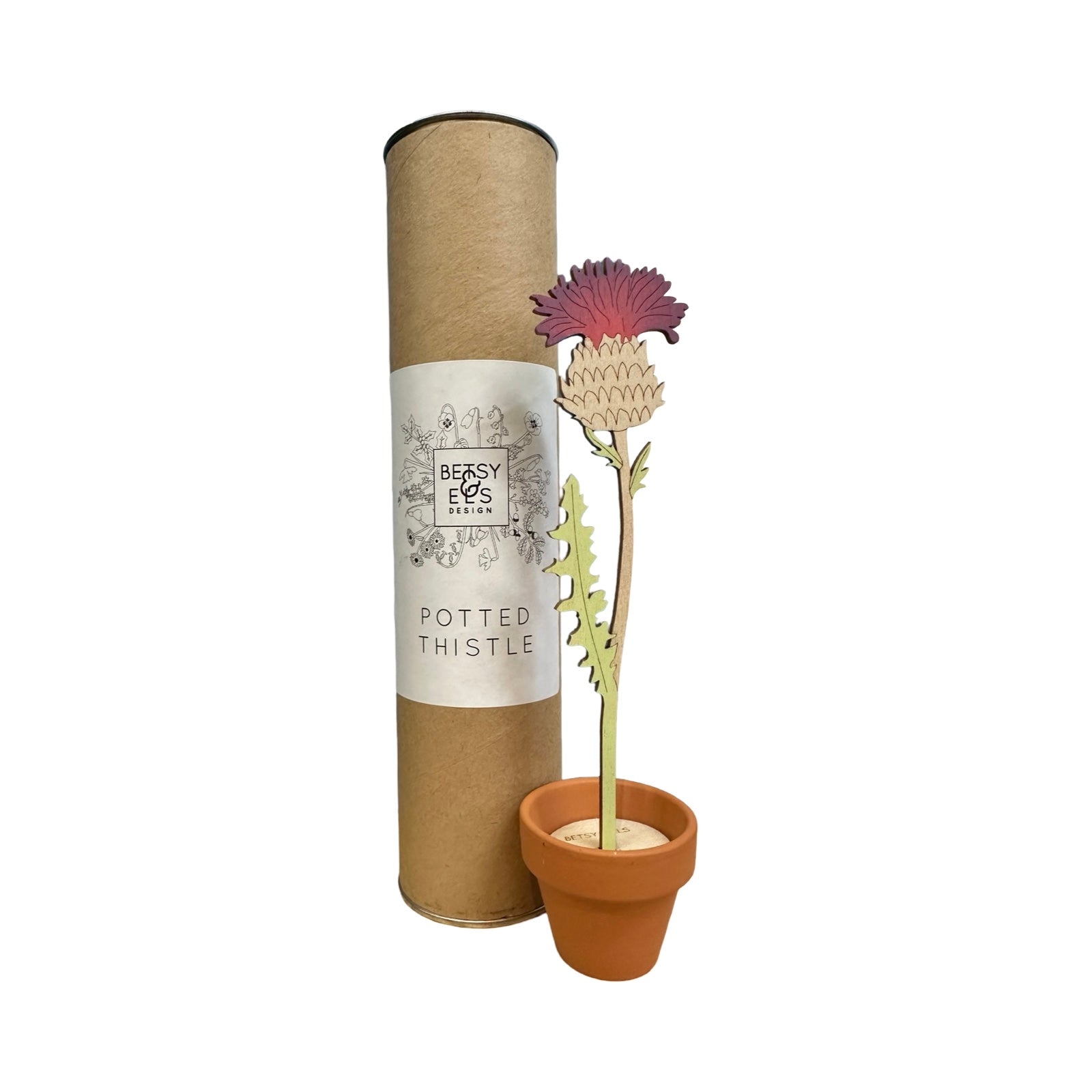 A single thistle wooden stem in a terracotta pot next to a cardboard tube.