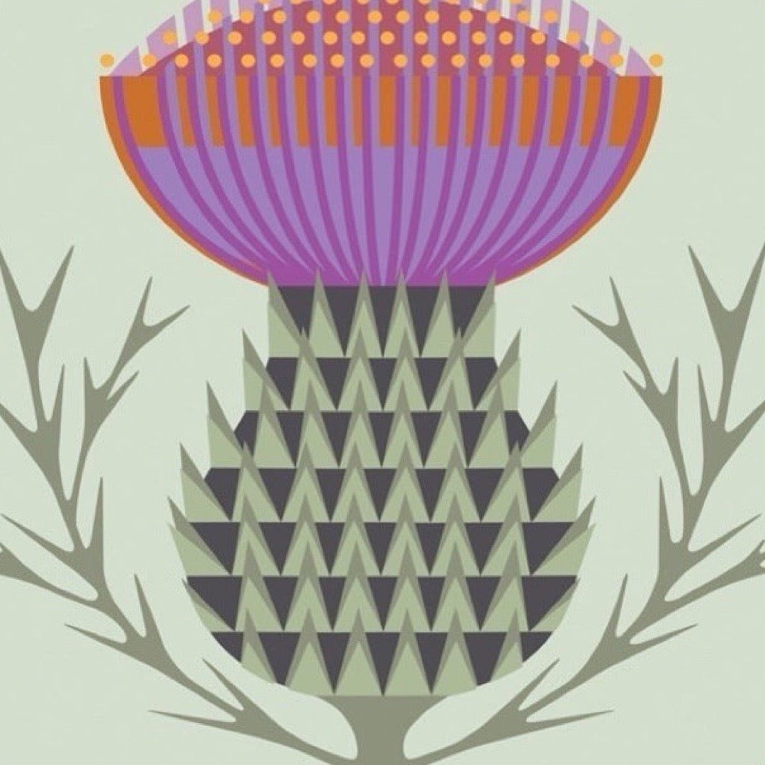Illustration of a thistle on a light green background.