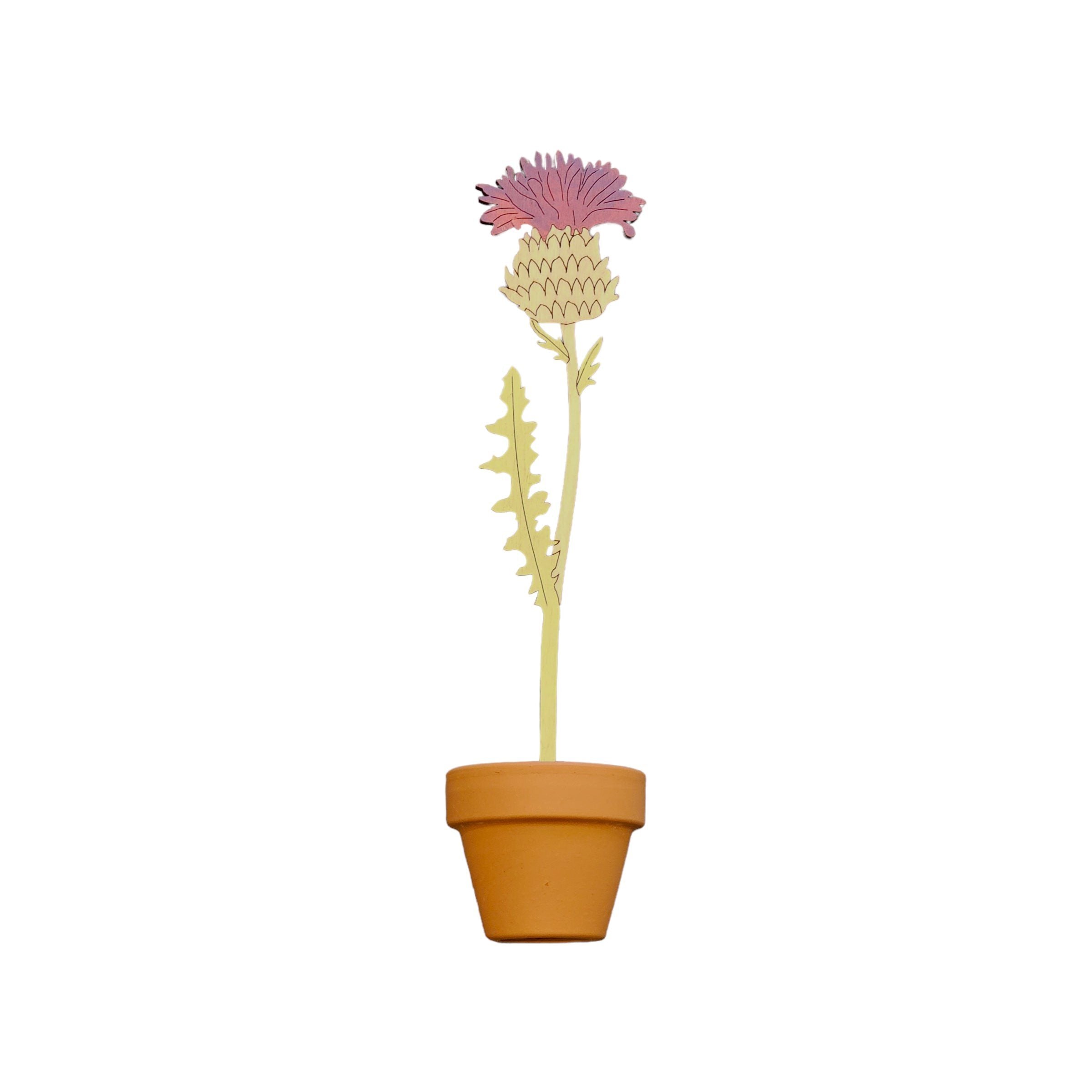 A single thistle wooden stem in a terracotta pot.