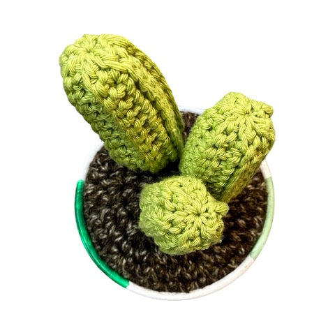 Triple Crochet Cactus - Medium