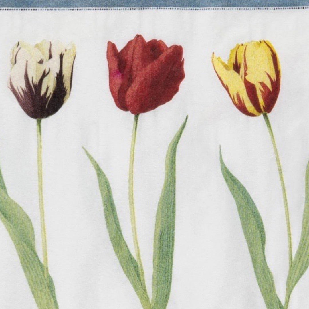 Three tulips in red, yellow, and white on a white background.