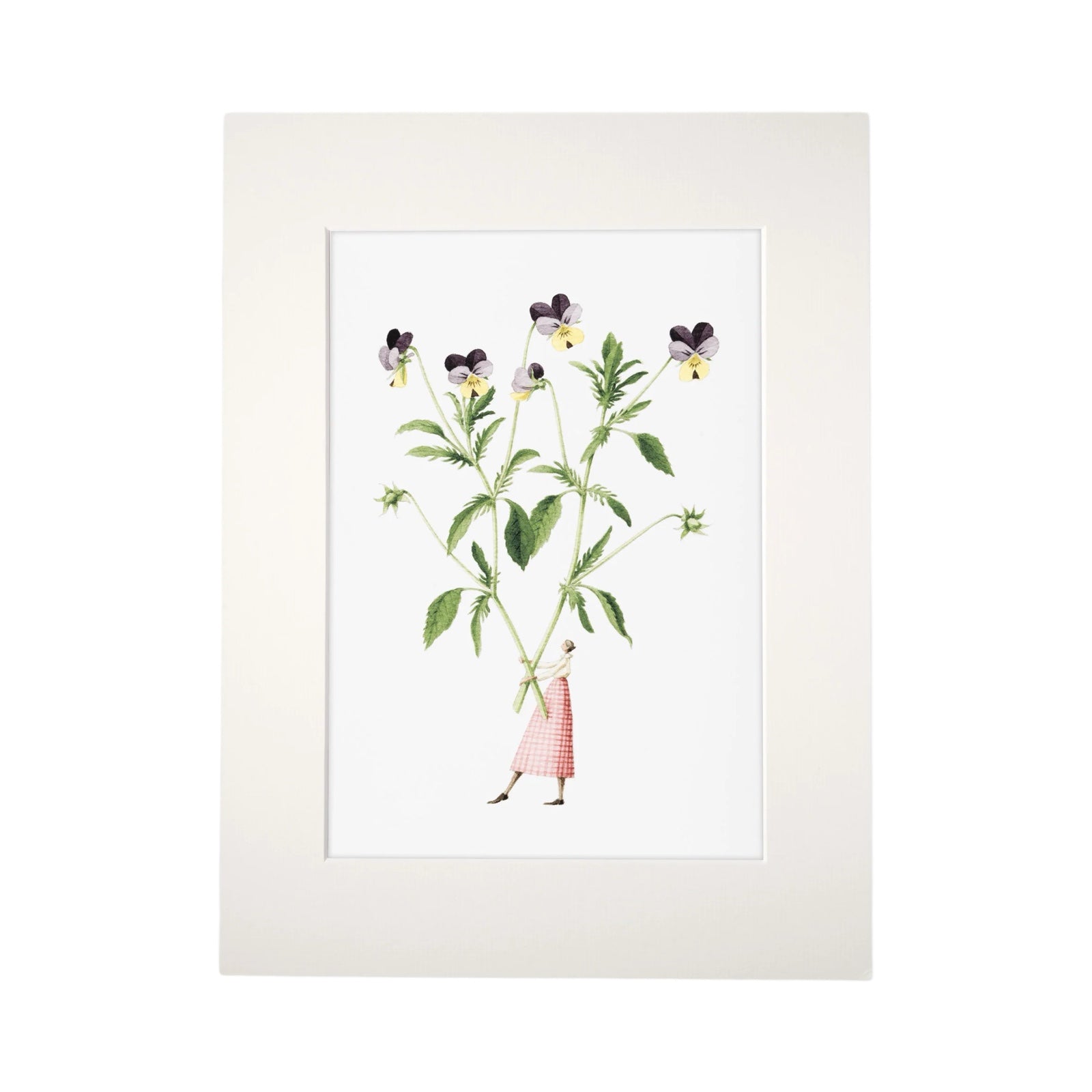 An image of a mounted print of viola stems held by a lady.