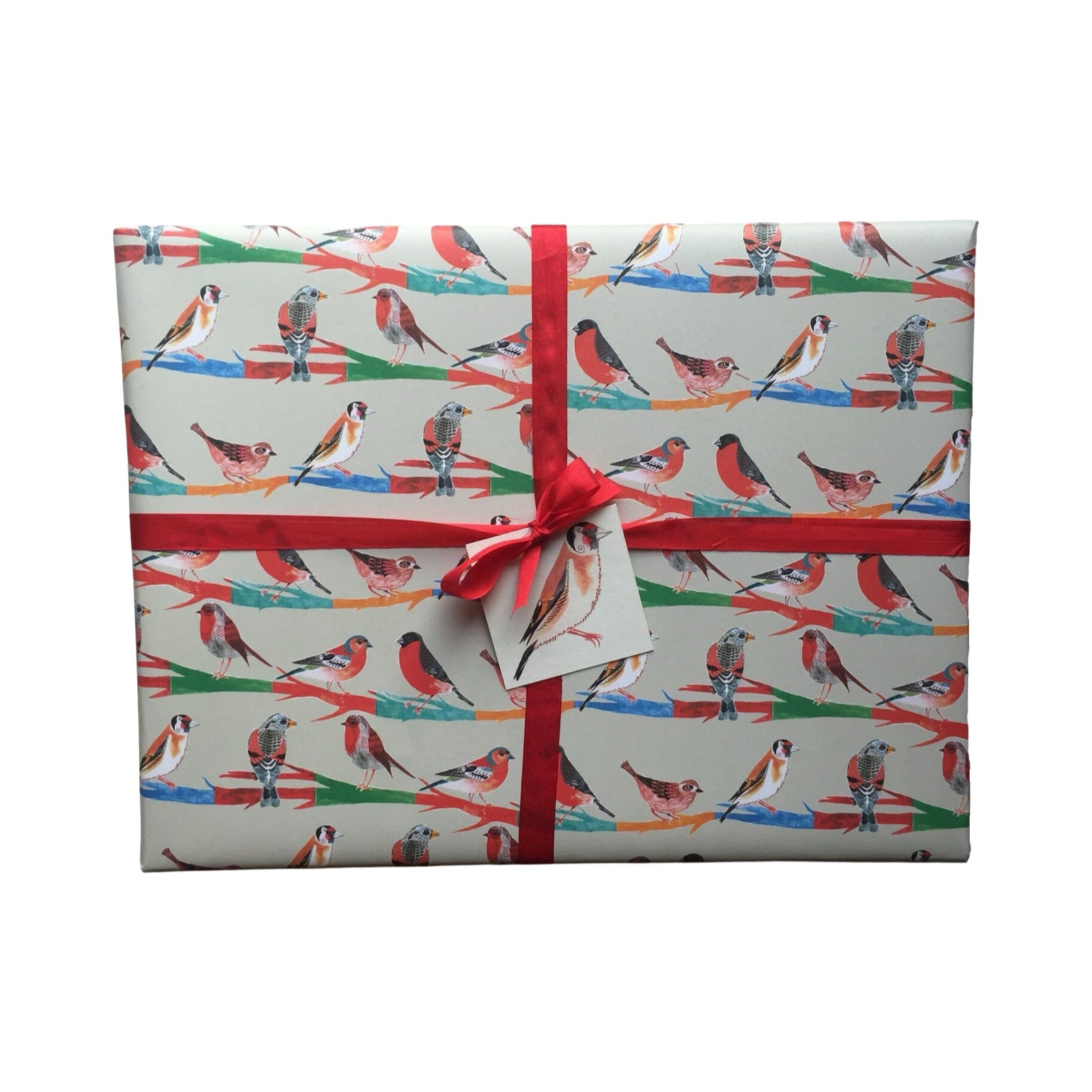 Gift wrapped in paper with bird pattern and red ribbon on a white background.