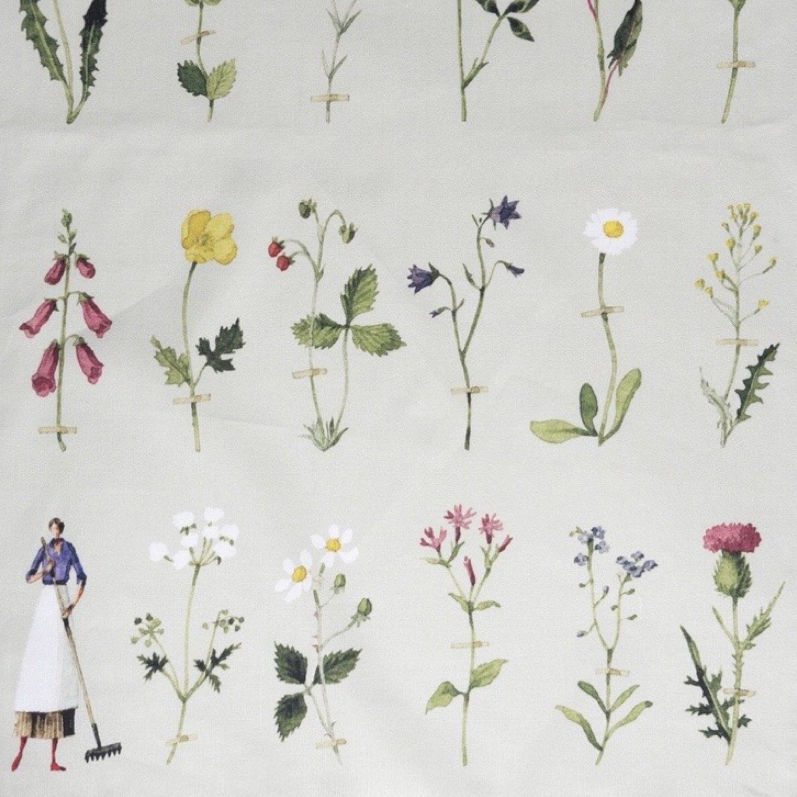Illustration of various flowers and a person gardening on a light background.