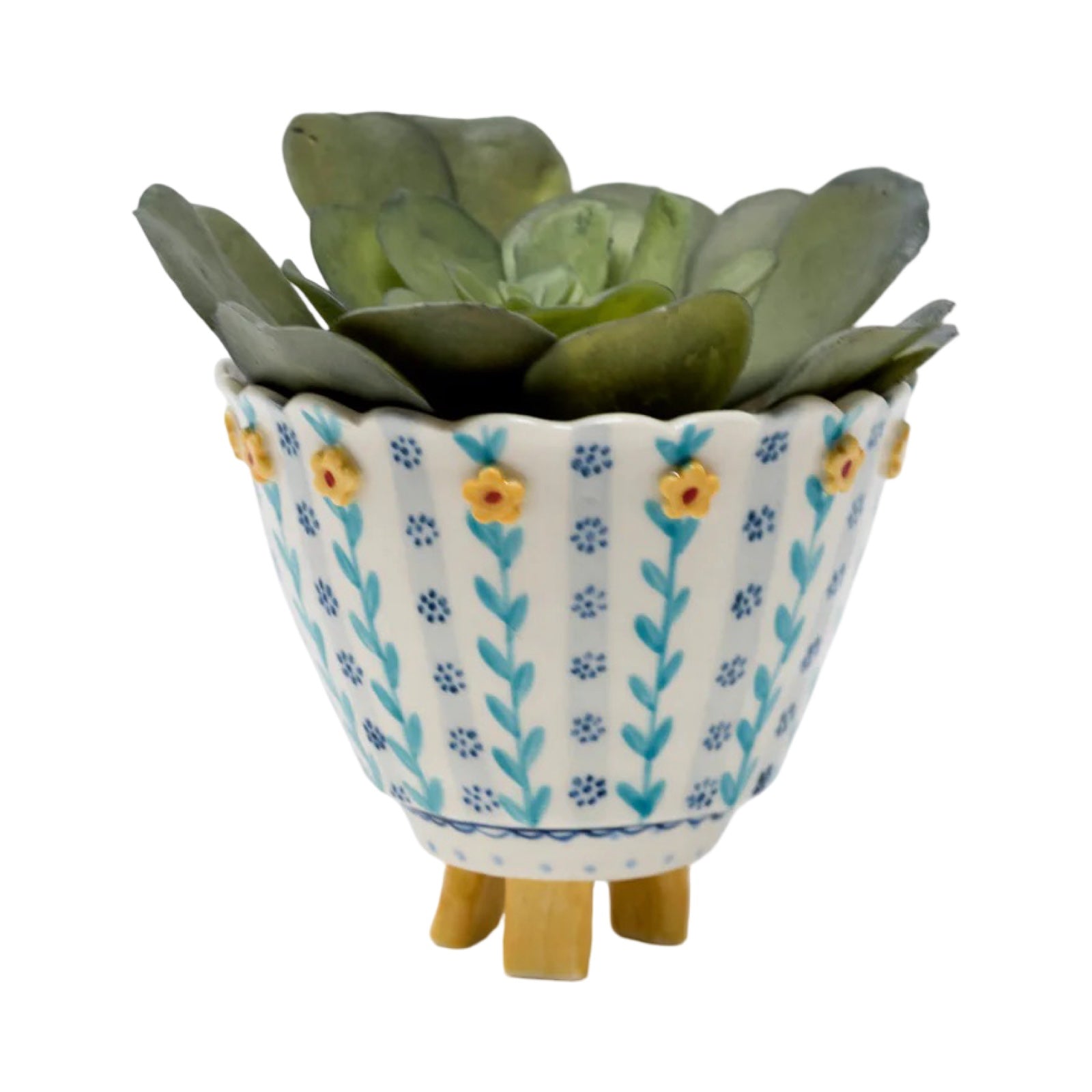 Decorative pot with succulent plant on a white background.