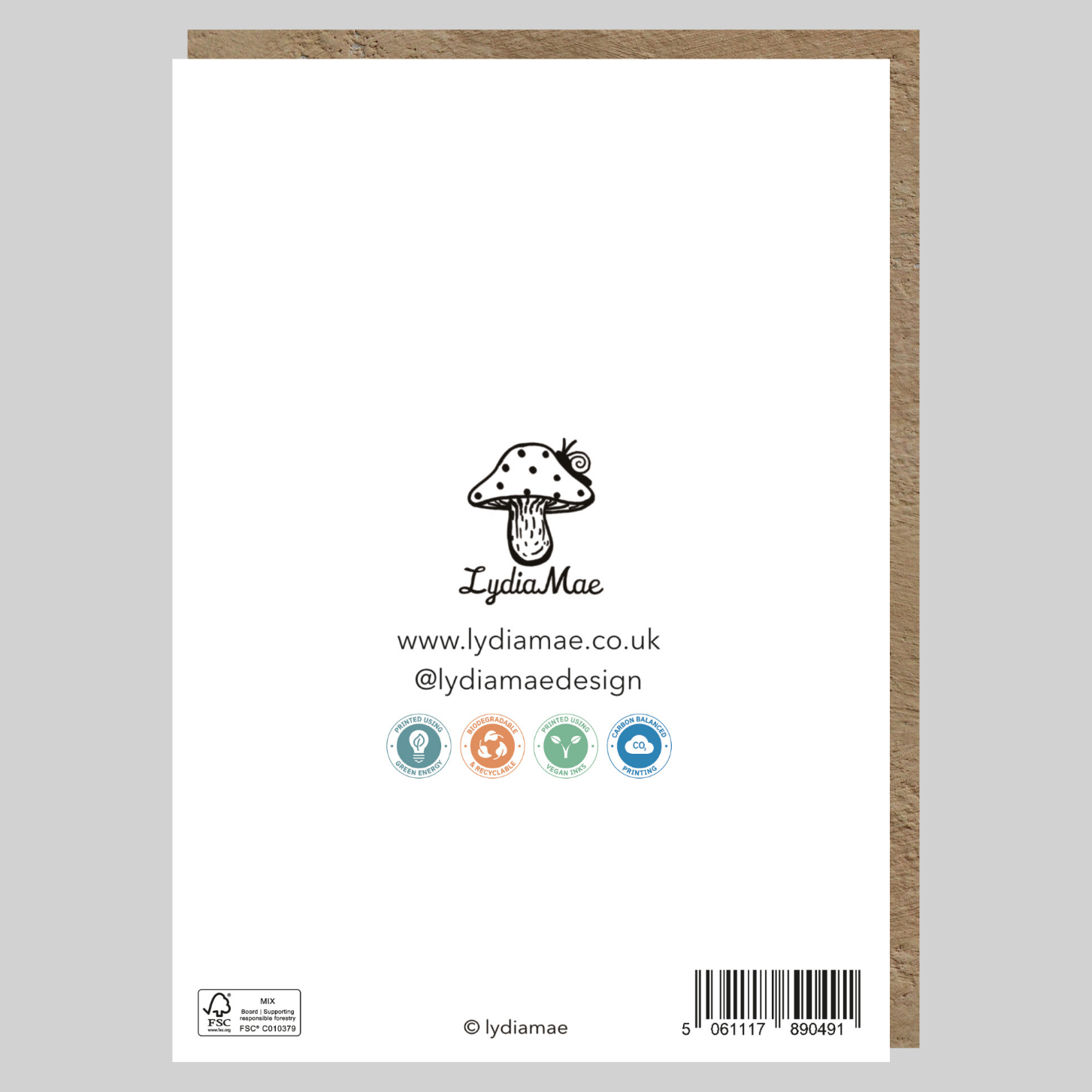 Mistletoe Fairy Christmas Card