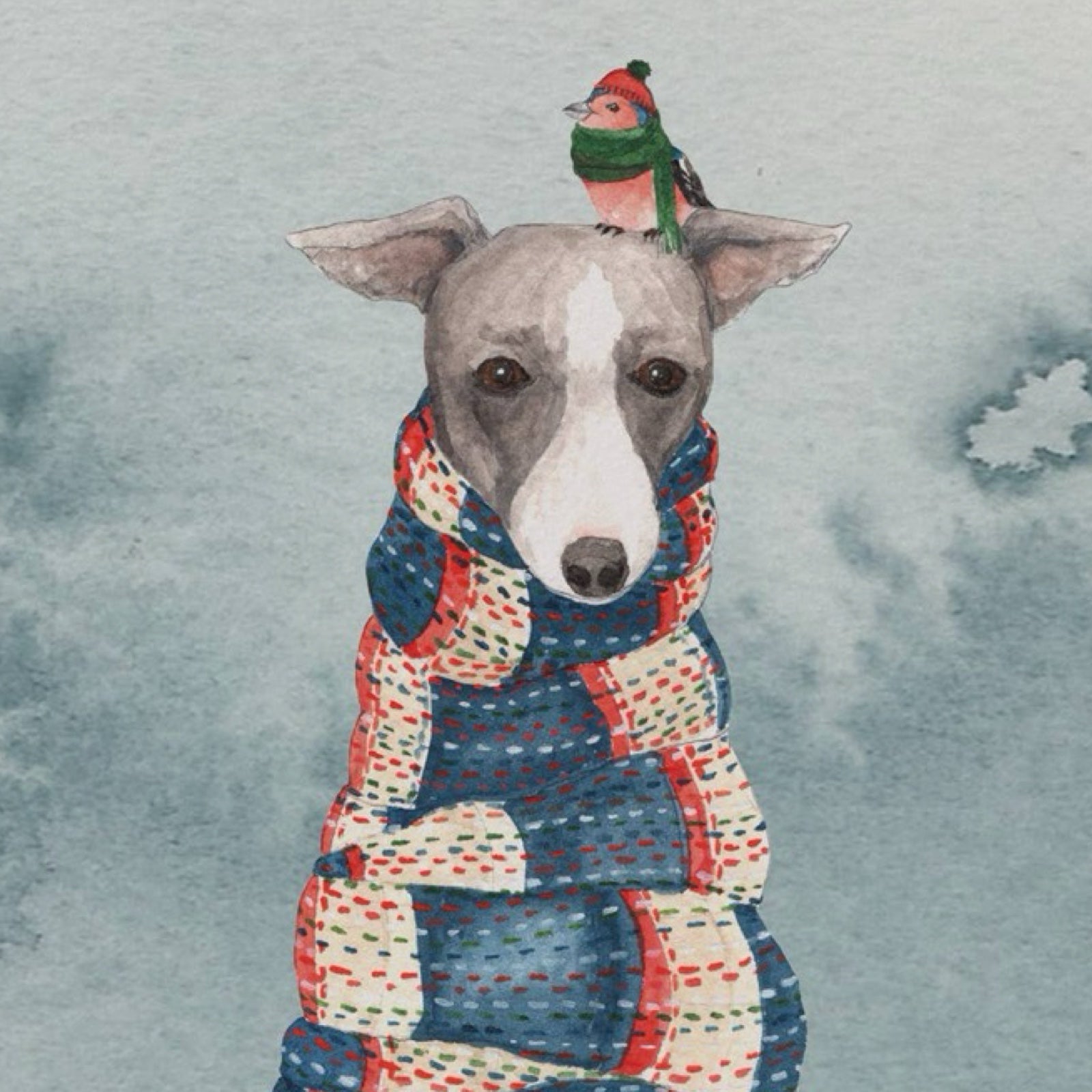 Decembrrrr Christmas Card Pack