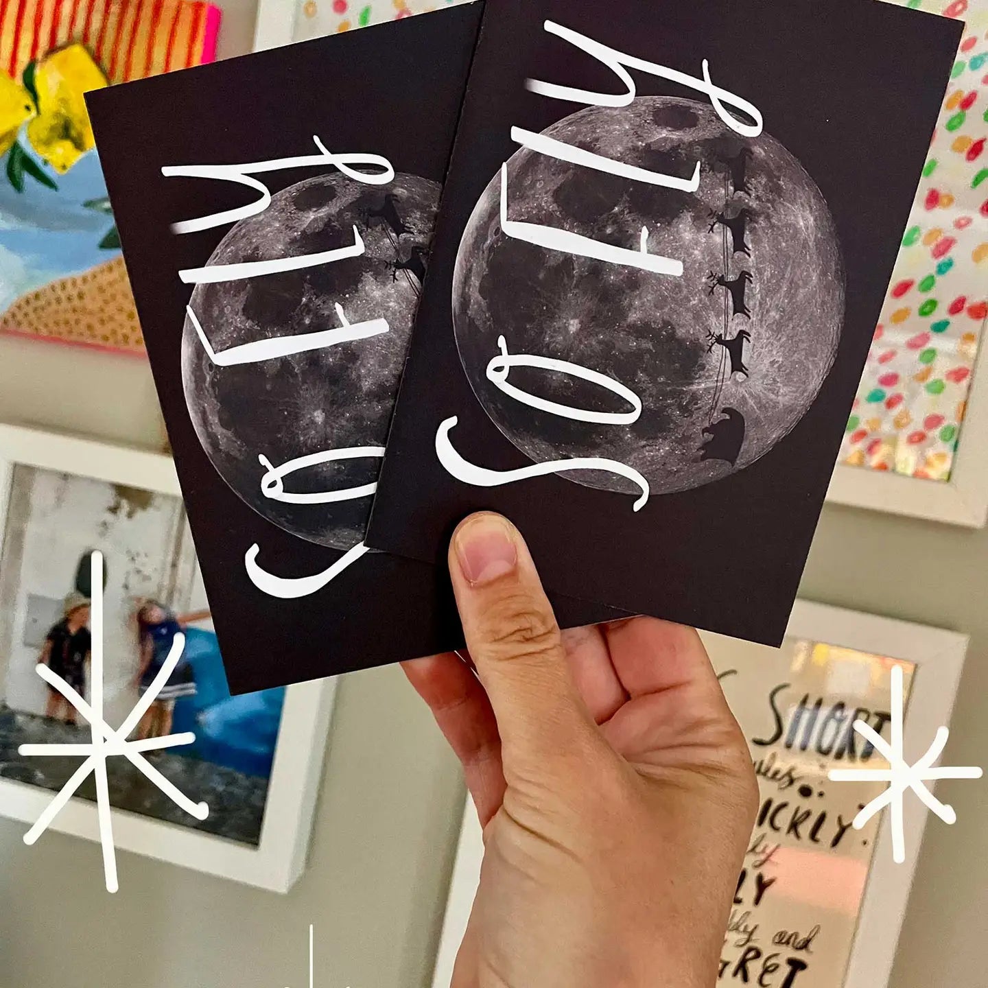 So Fly Christmas Card Pack