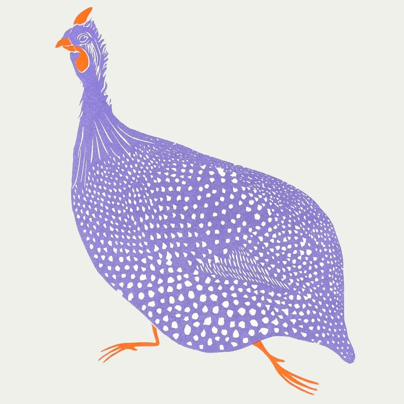 Galloping Guinea Fowl Print