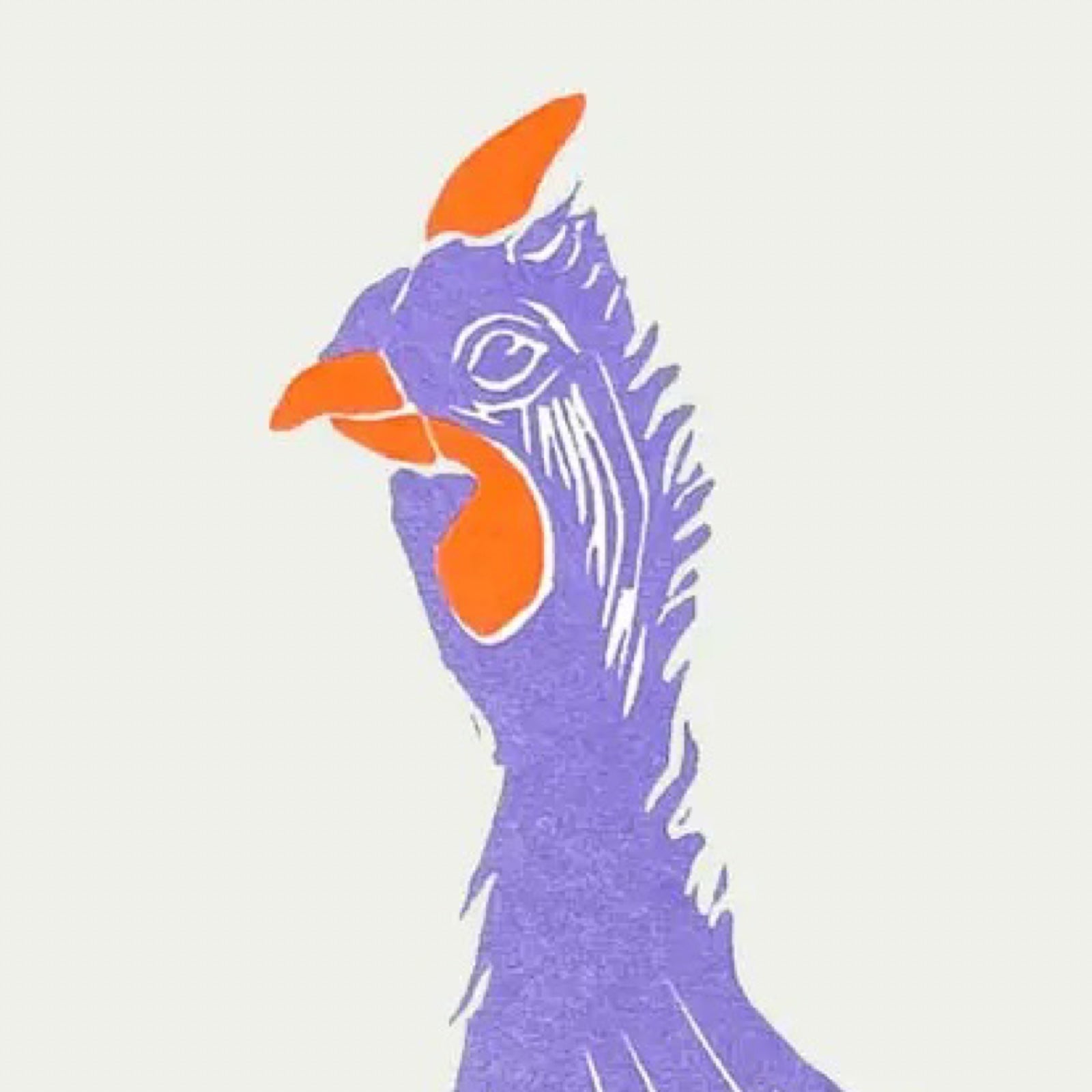 Galloping Guinea Fowl Print