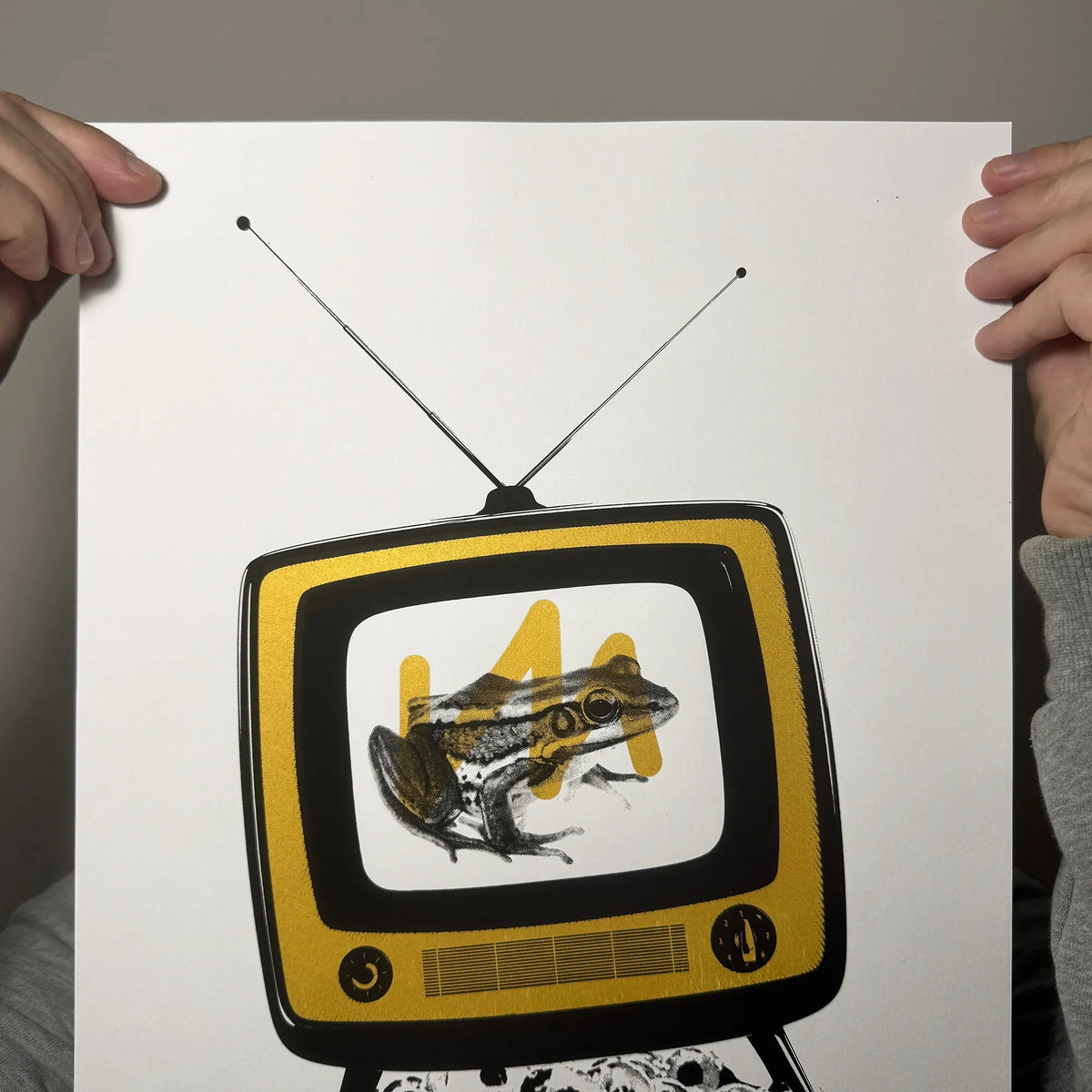 Froggy Vision Screen Print