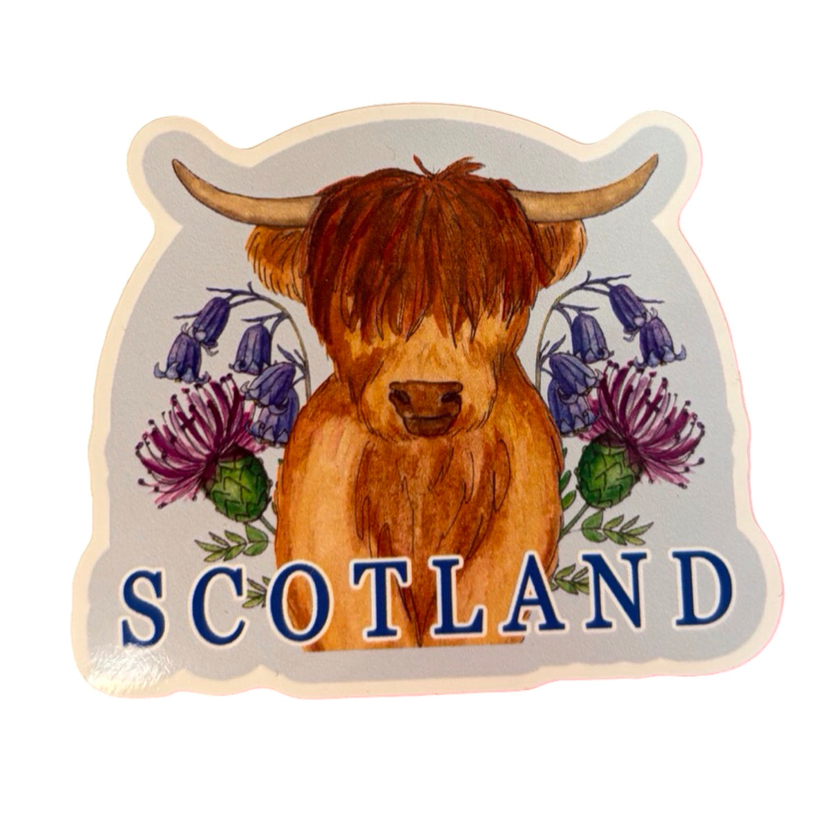 Highland Coo Scotland Sticker