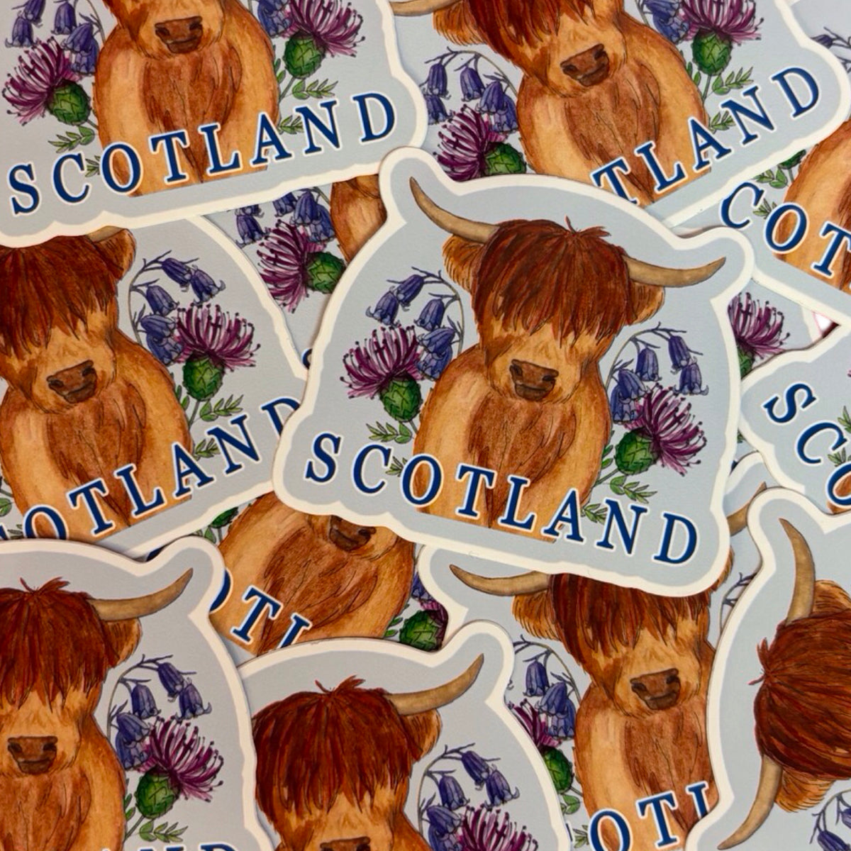 Highland Coo Scotland Sticker