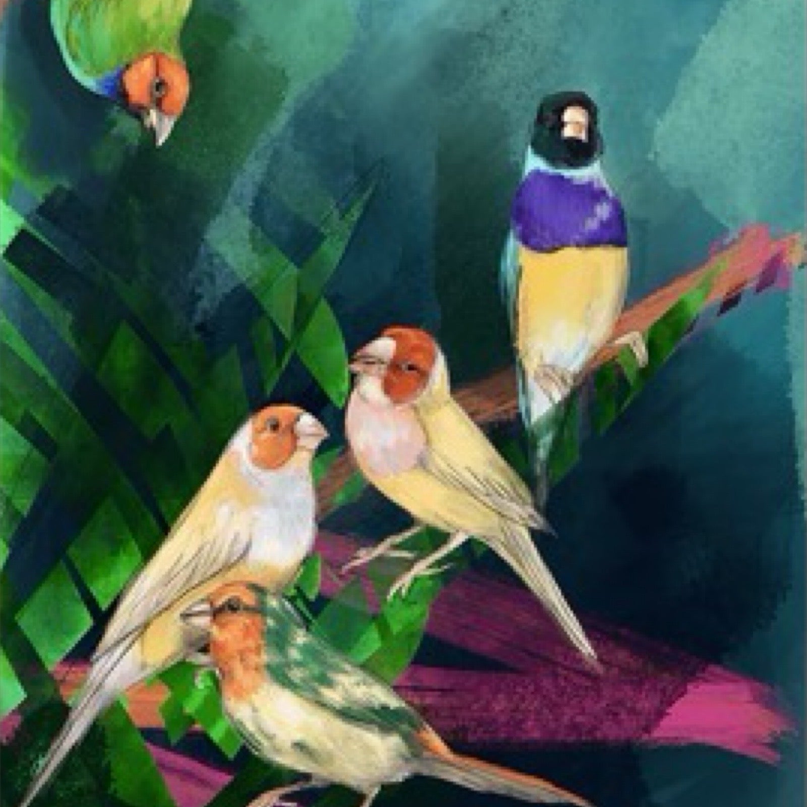 Bird lovers print from an original painting of five brightly coloured finches on a green and pink abstract background, A3 in size.