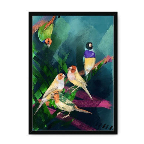 Bird lovers print from an original painting of five brightly coloured finches on a green and pink abstract background, A3 in size.