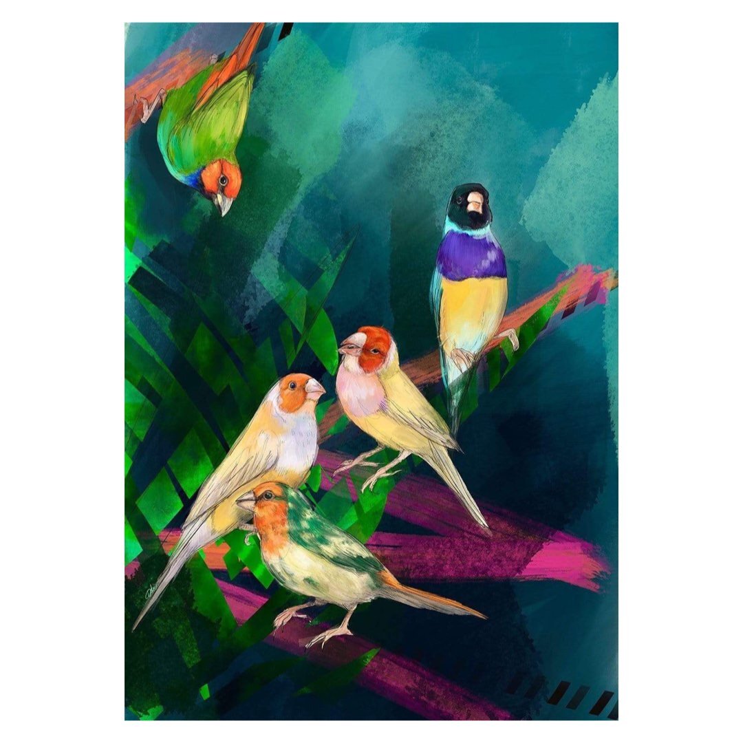Bird lovers print from an original painting of five brightly coloured finches on a green and pink abstract background, A3 in size.