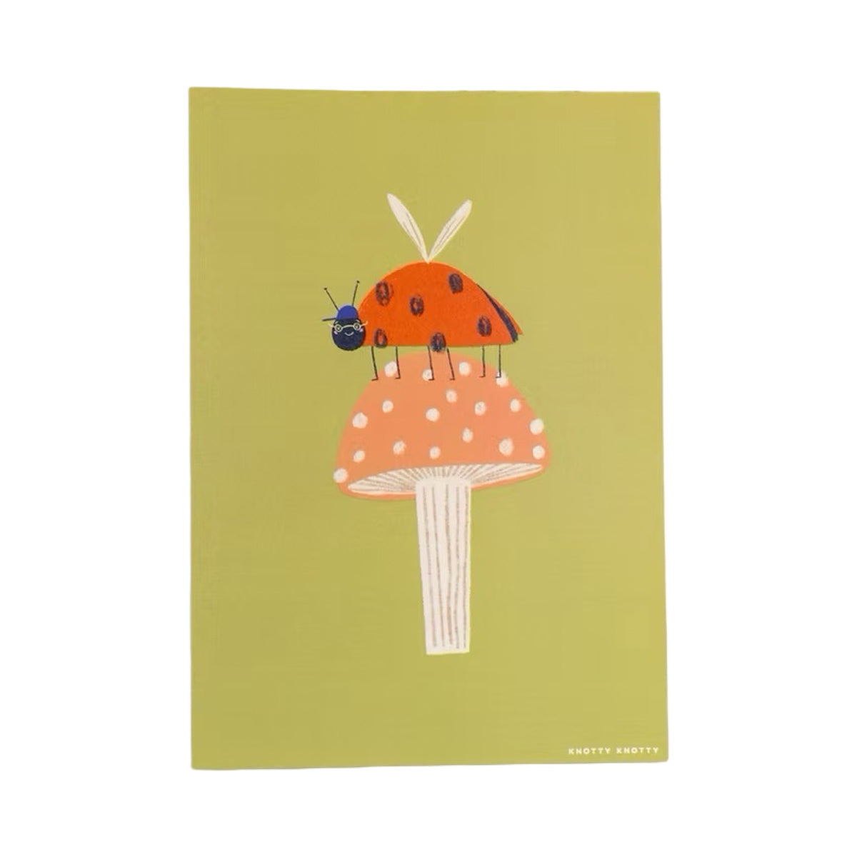 Ladybird Print