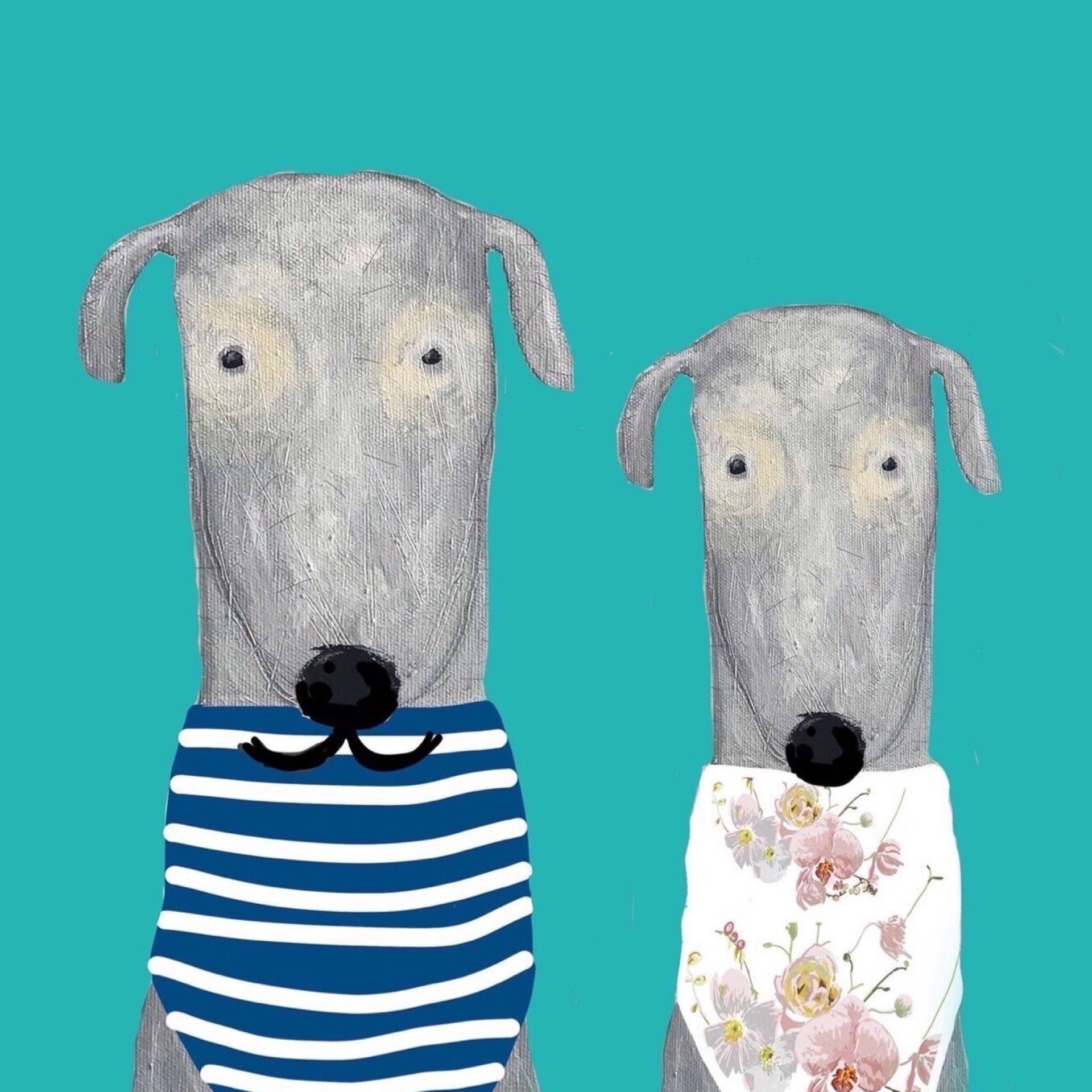Two dogs wearing clothing on a teal background.