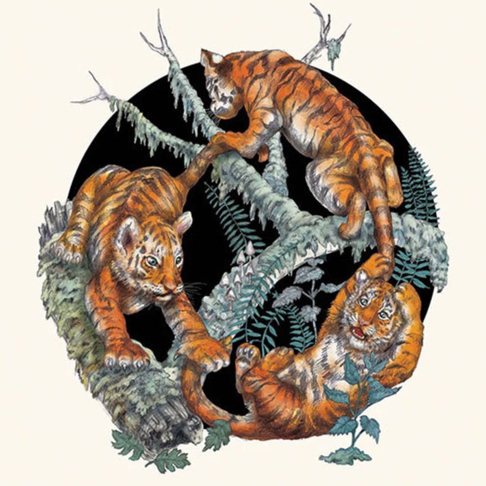 Amur Tiger Cubs blank greeting card with kraft brown envelope.