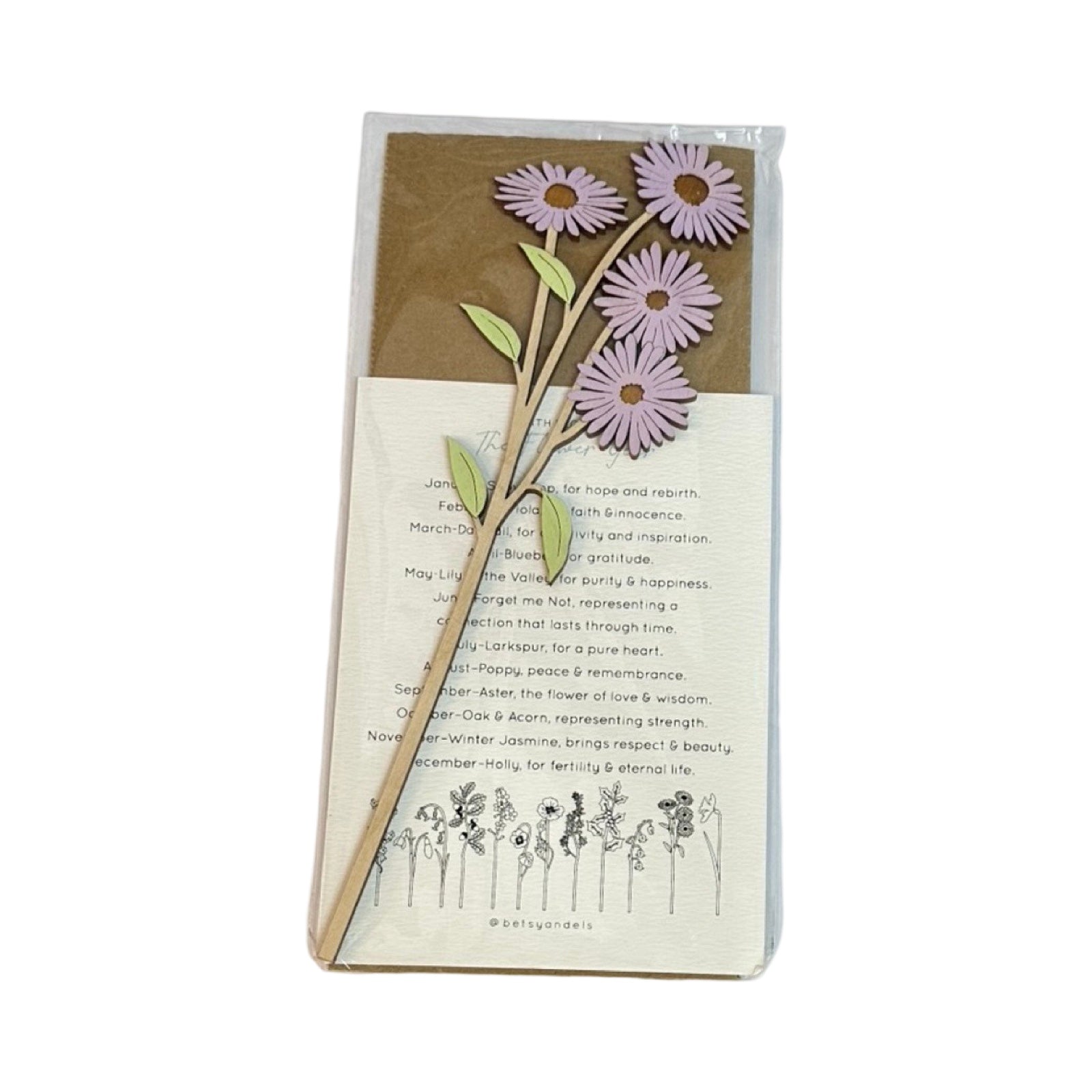 Single wooden stem with 4 lilac aster flowers in cellophane packet