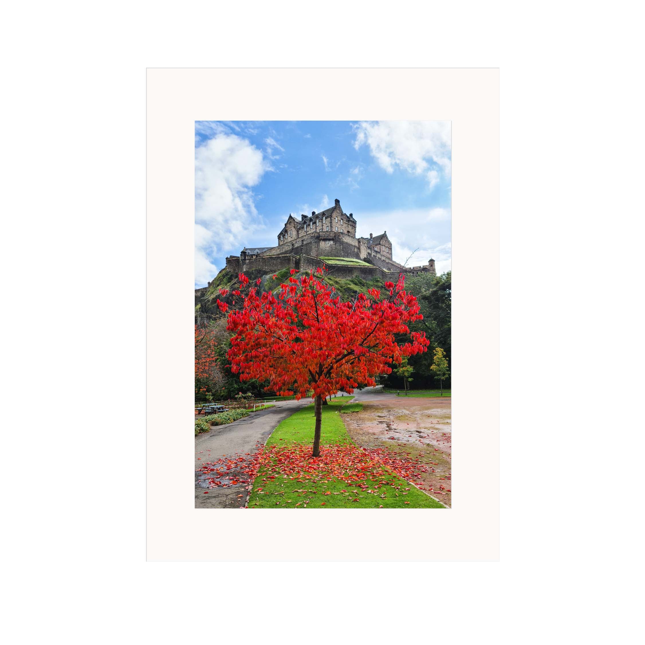 An image of a tree full of red leaves with Edinburgh Castle in the background in a mount.