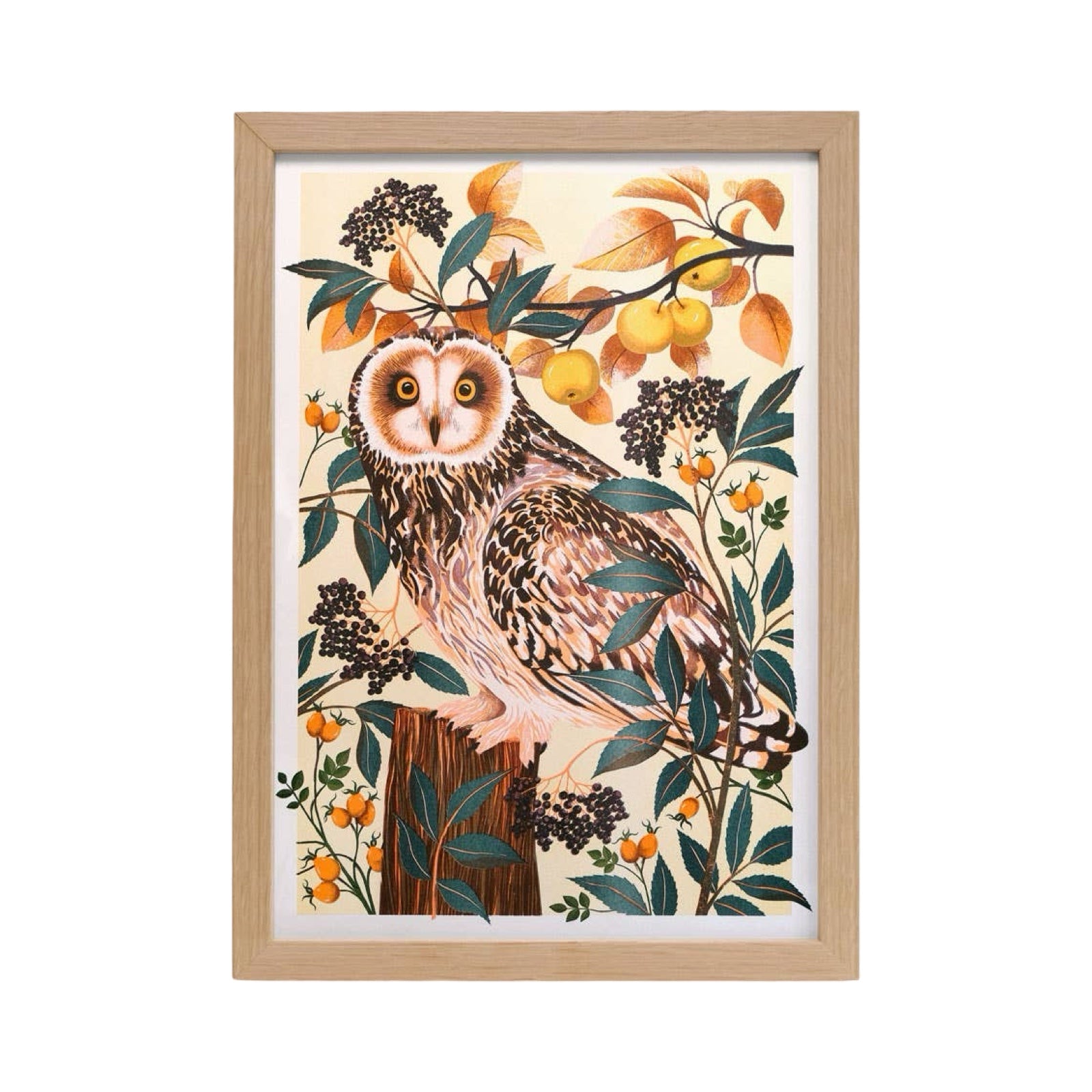 Autumn Owl Print