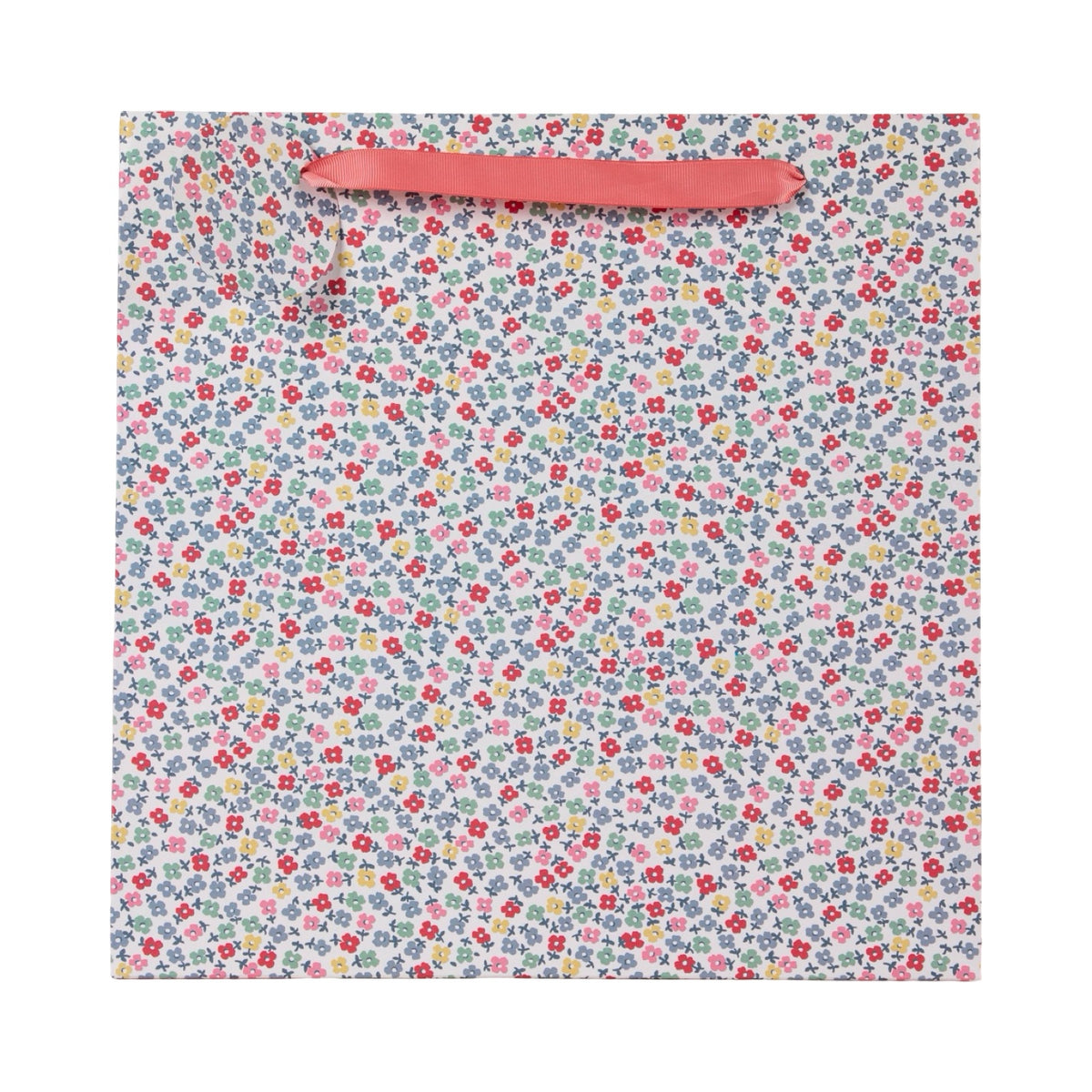 Teeny One Gift Bag Large