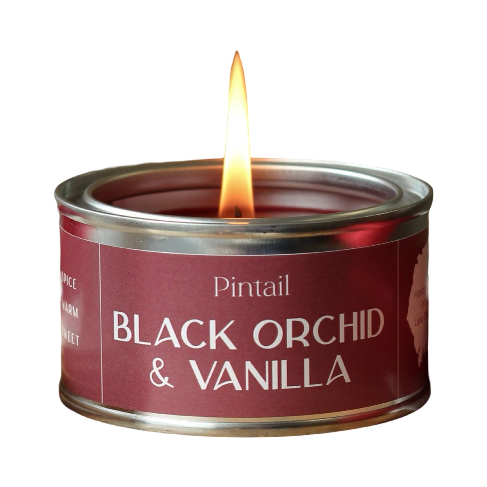 Black Orchid and Vanilla Paint Pot Candles