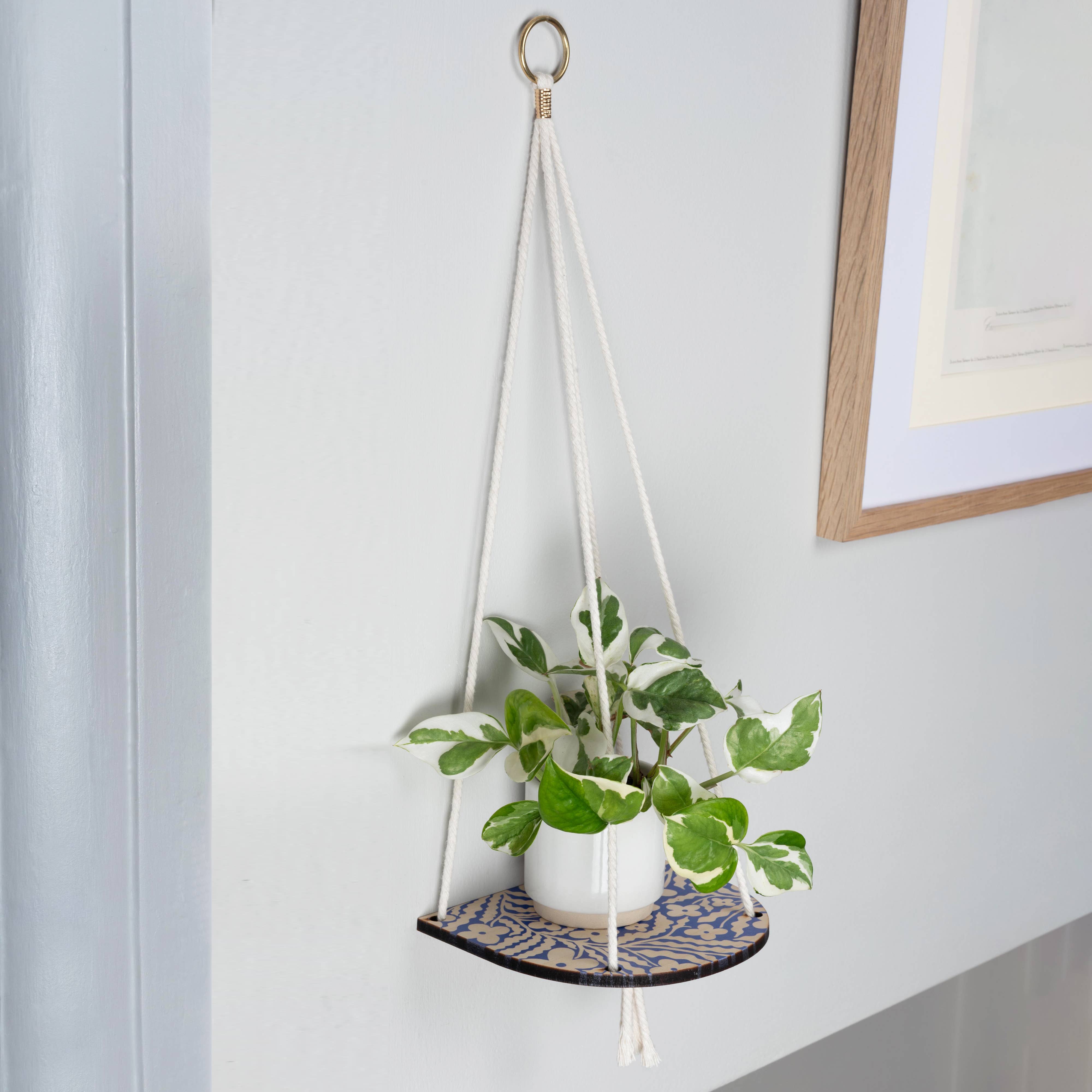 Hanging plant shelf with a plant on a white wall.